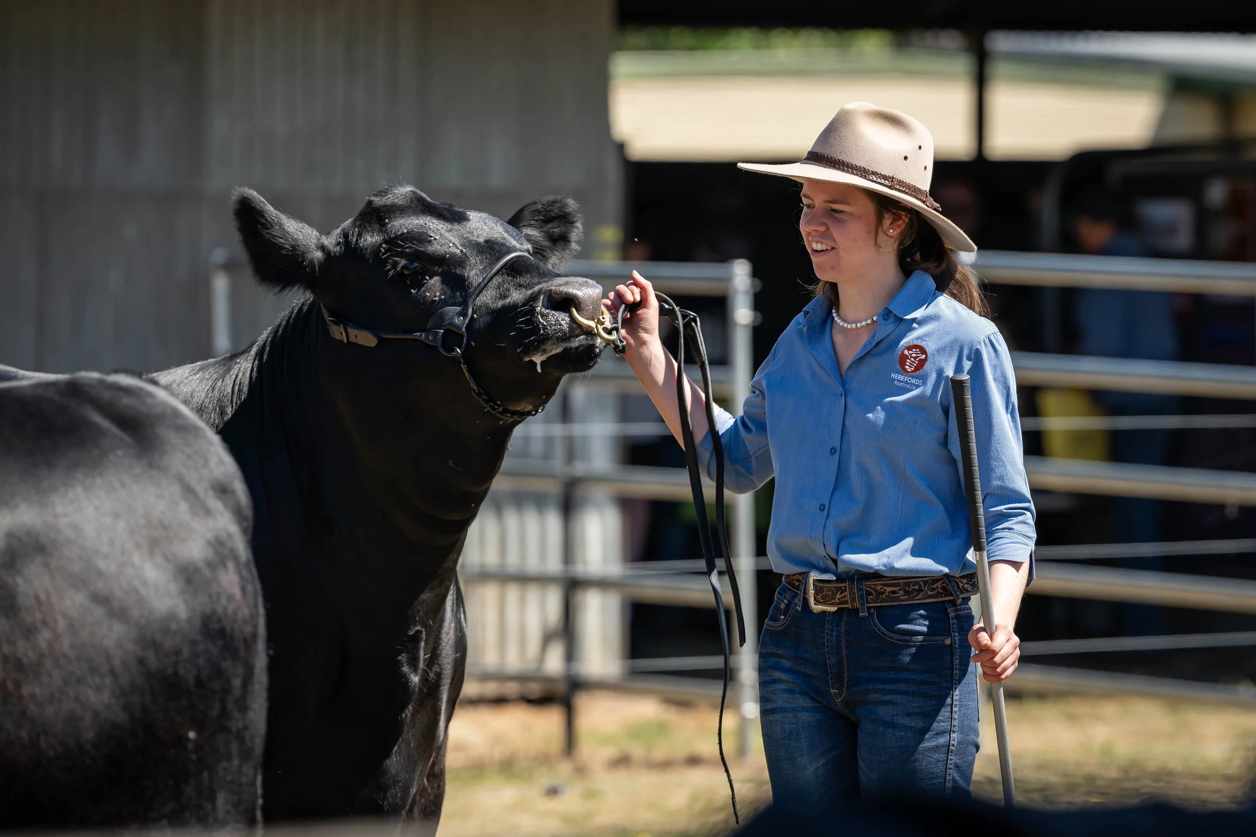 ‘Recovering Agriculture’ theme for 2026 Euroa Show
