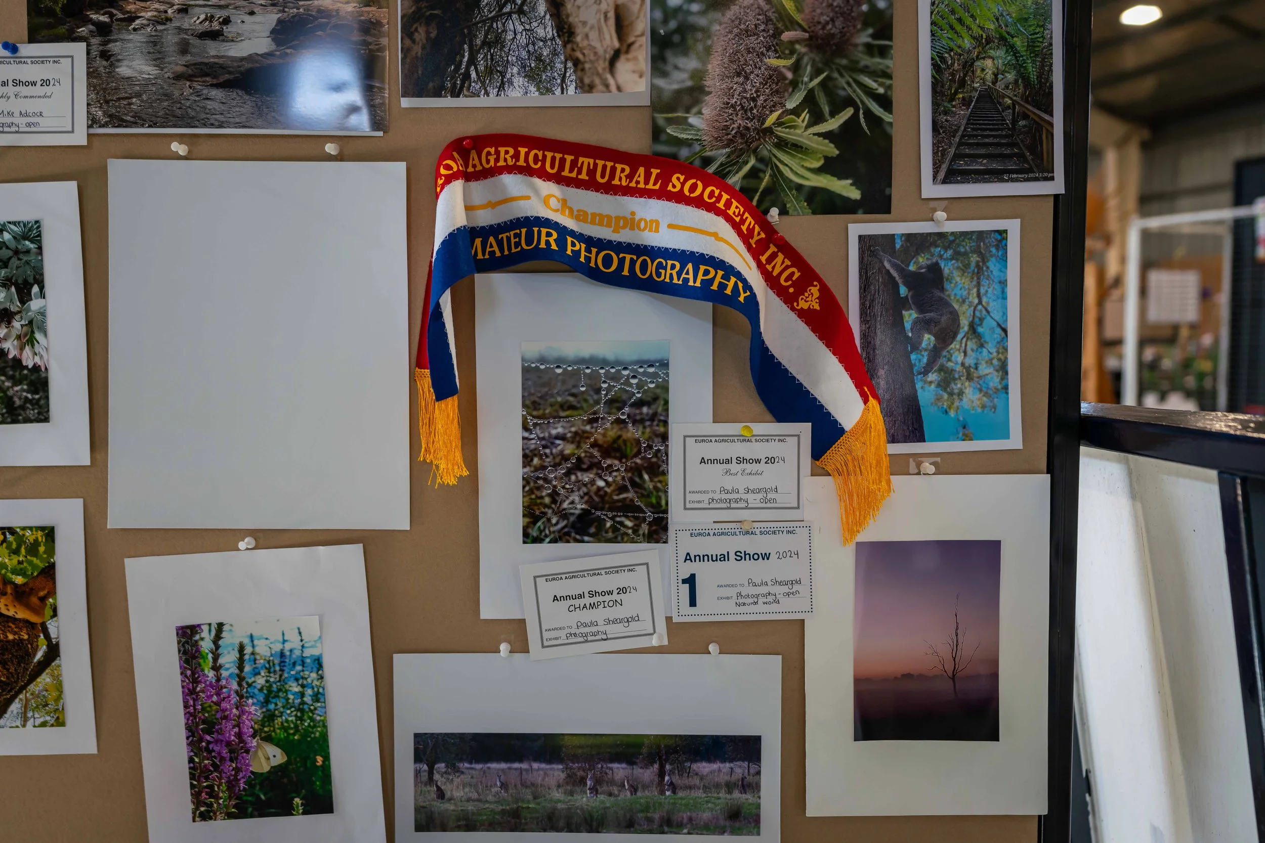 One month until the Euroa Agricultural Show
