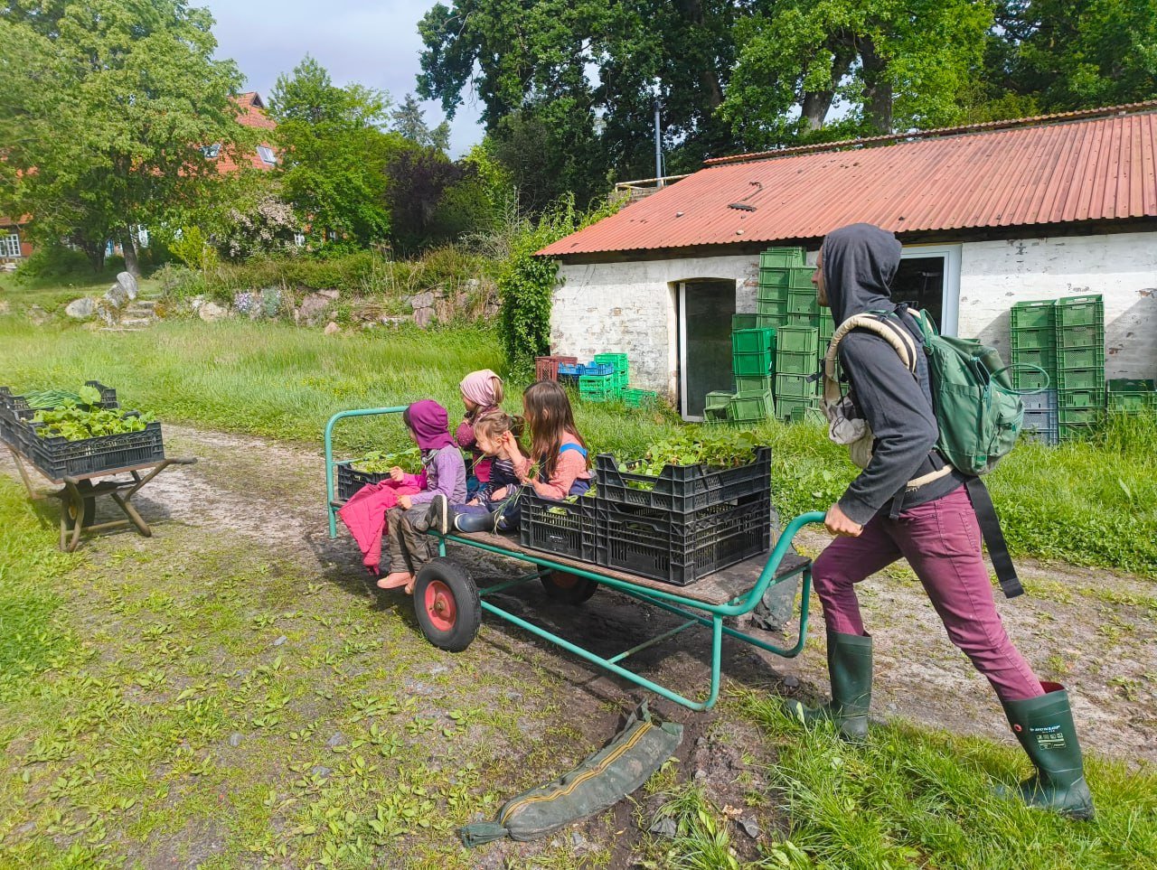 Postfossile Transporte.jpg