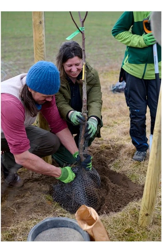 Zukunft pflanzen.jpg