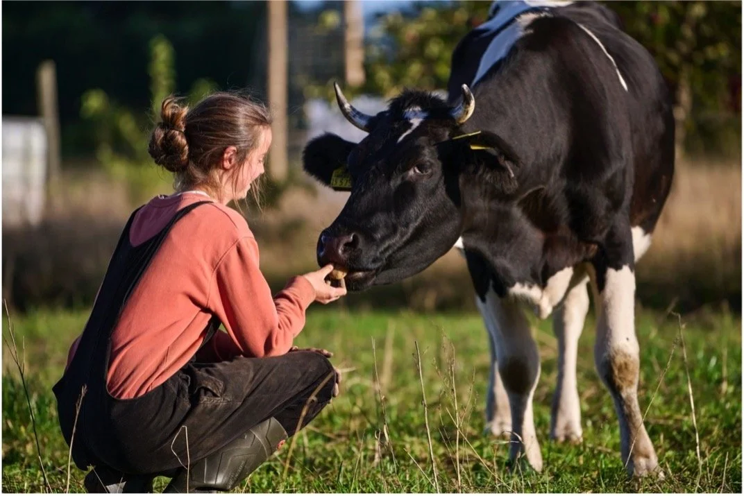 Gut für Mensch und Tier.jpg