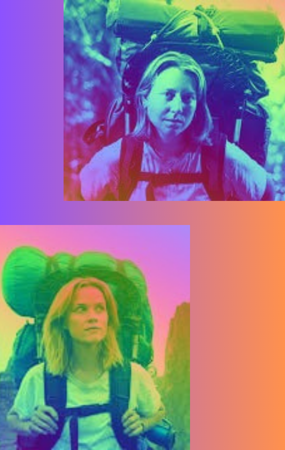 Reflections on Wild: Cheryl Strayed’s journey through the wilderness