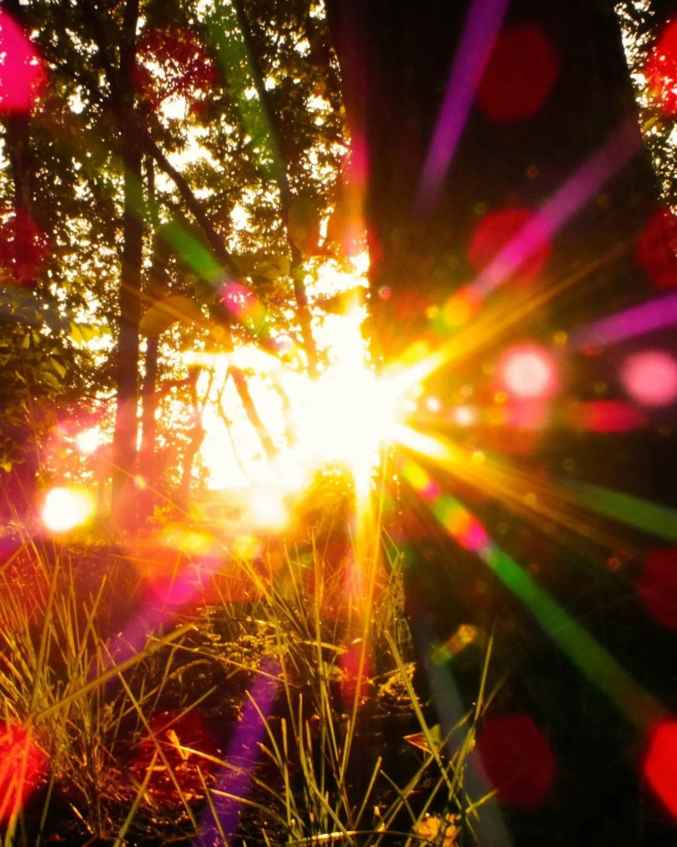 Psychedelic Integration: Translating pinnacle experiences to reality