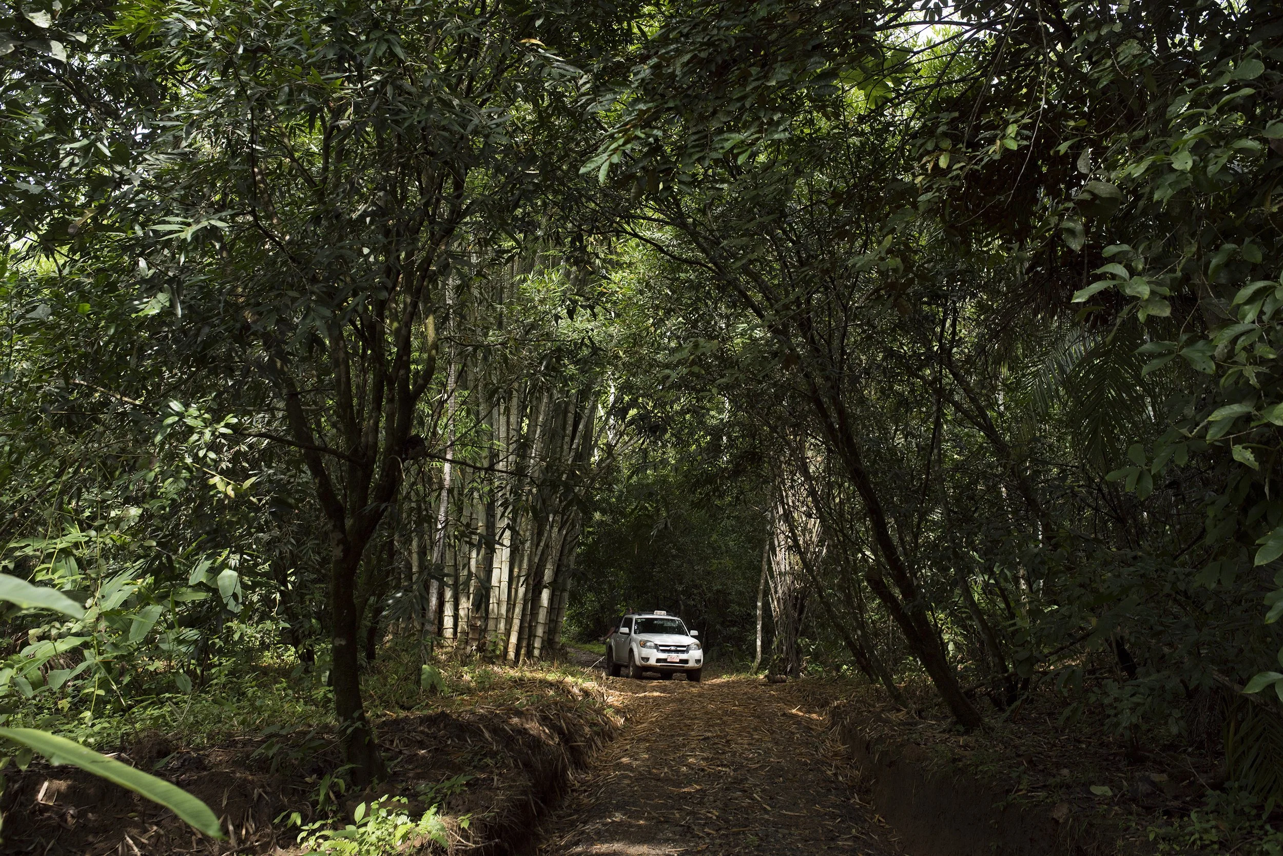 The road to arrive to Balsa Nueva Ecologde, gateway to nature in Costa Rica