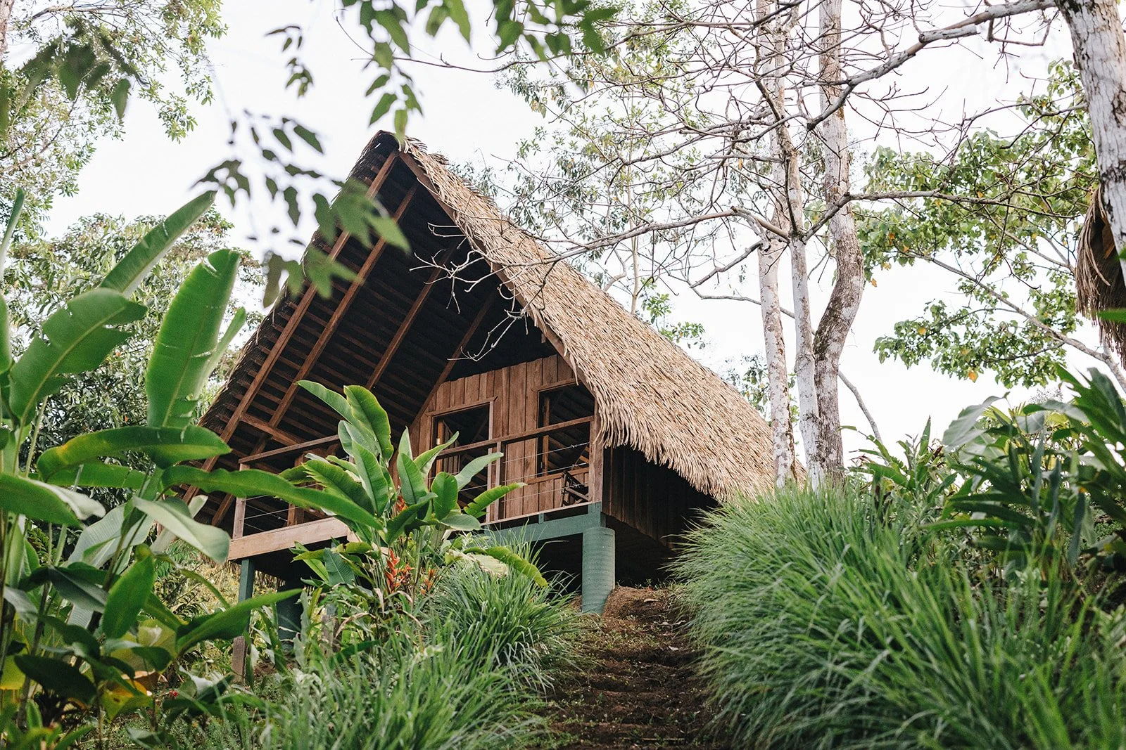 Balsa Nueva Lodge, farm to table jungle lodge in the heart of the jungle in Costa Rica