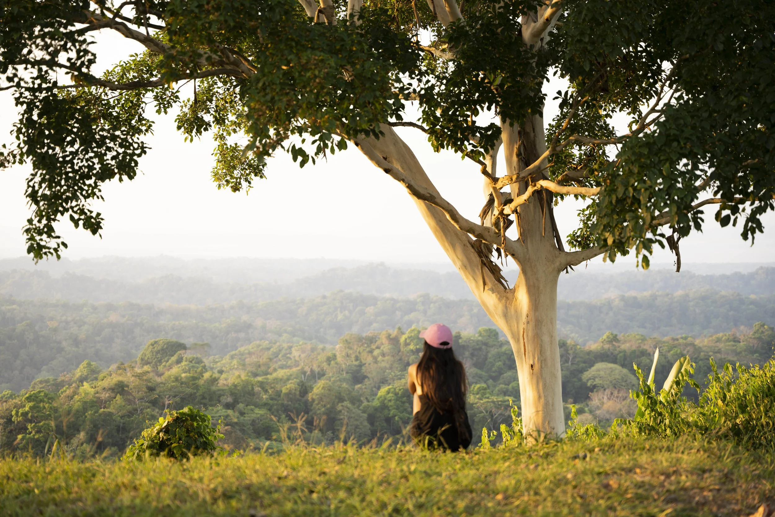 The highest point to overlook breathtaking views of Golfo Dulce and the Pacific, to connect with nature in a rainforest retreat in  Costa Rica