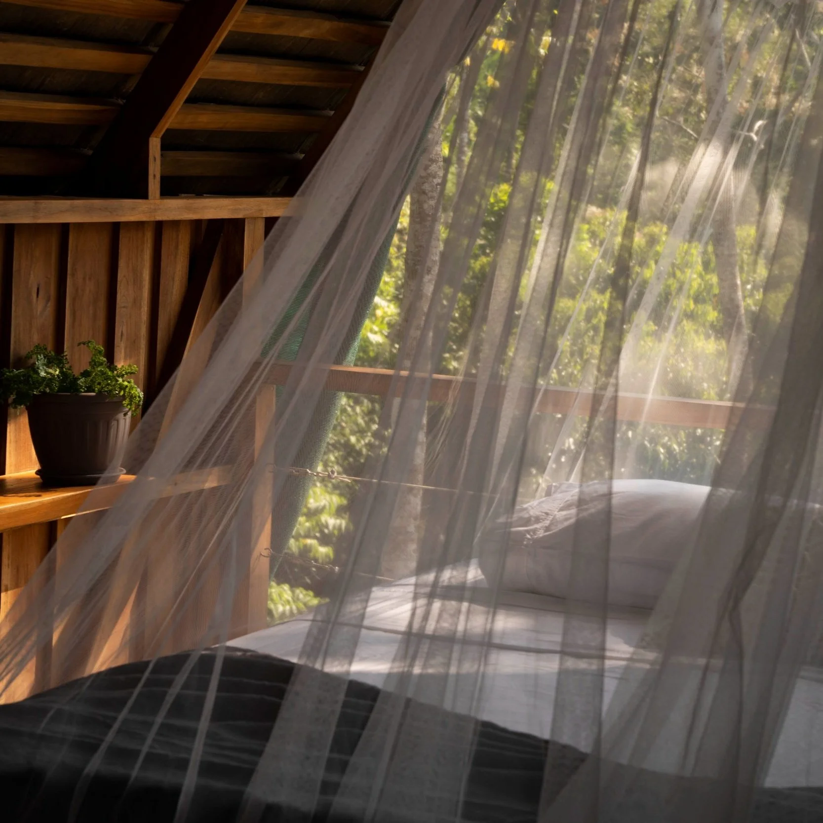 Inside our palapa room