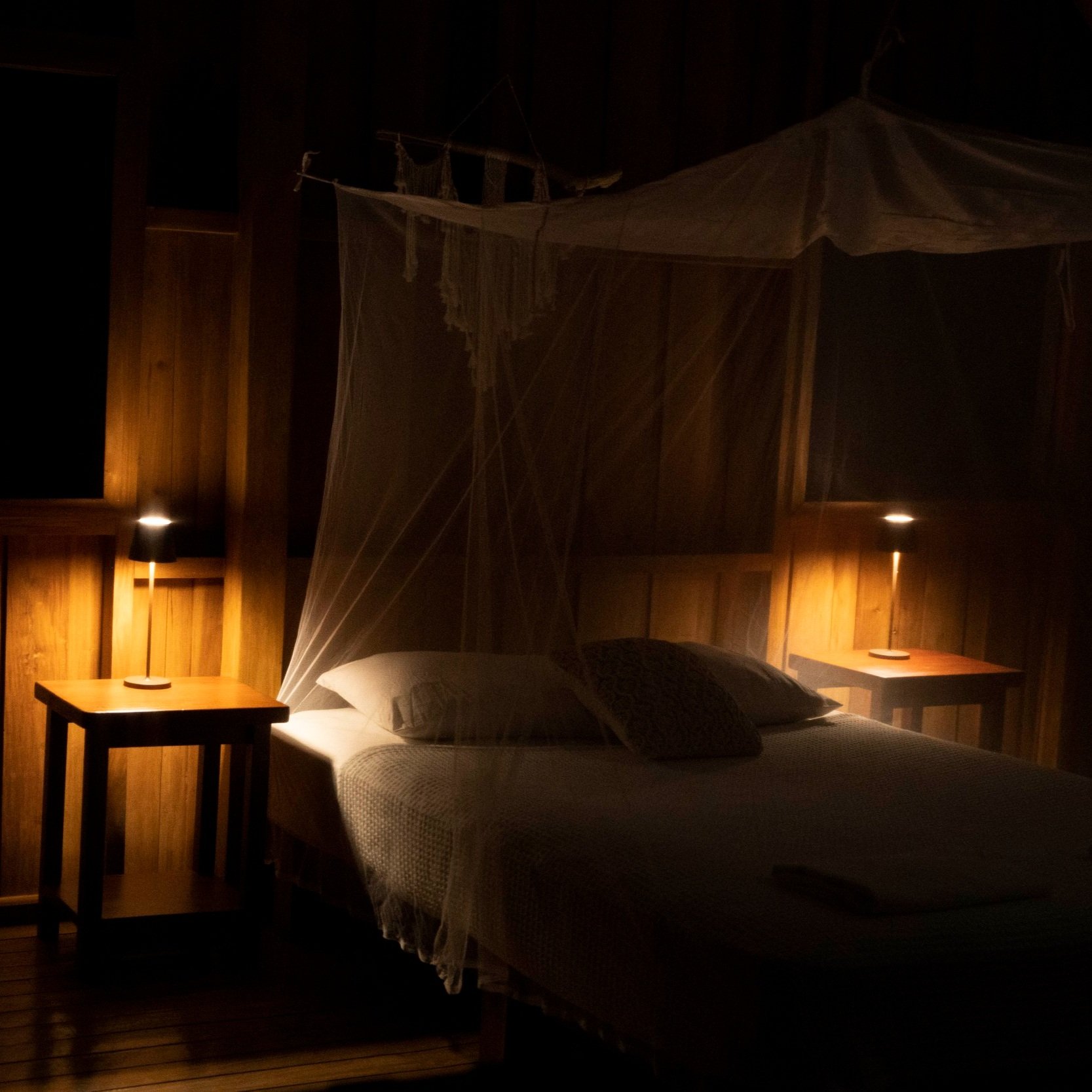 Jacamar by night time