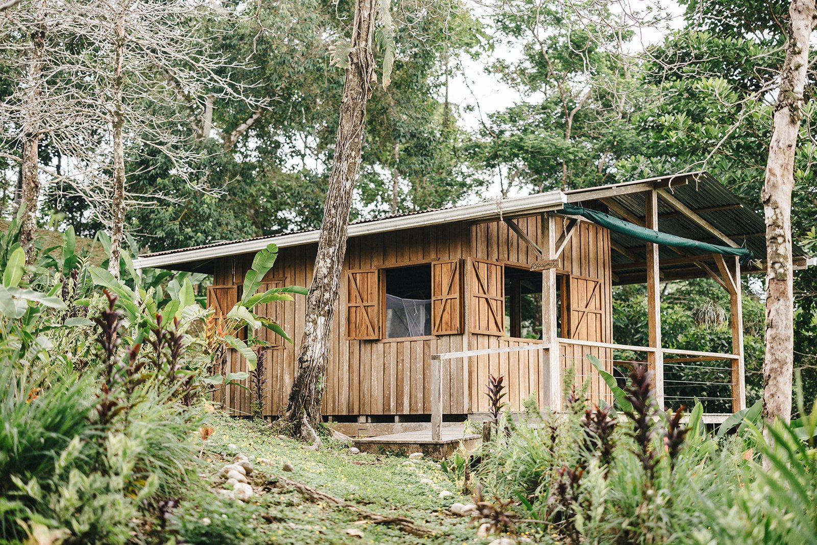 Jacamar - a uniquely designed room