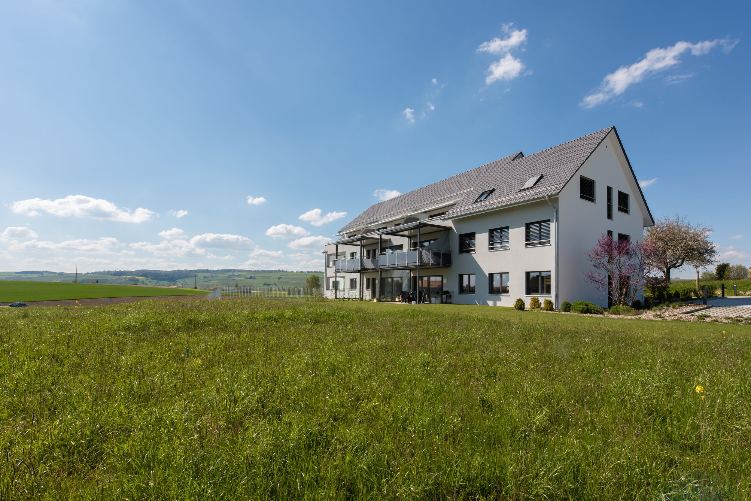 PSC_6702-Bearbeitet.jpg