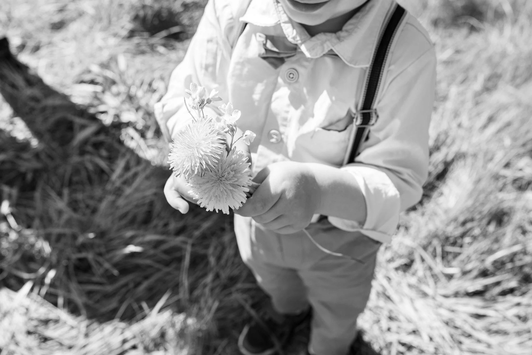Des petites mains et des petites fleurs 🌼