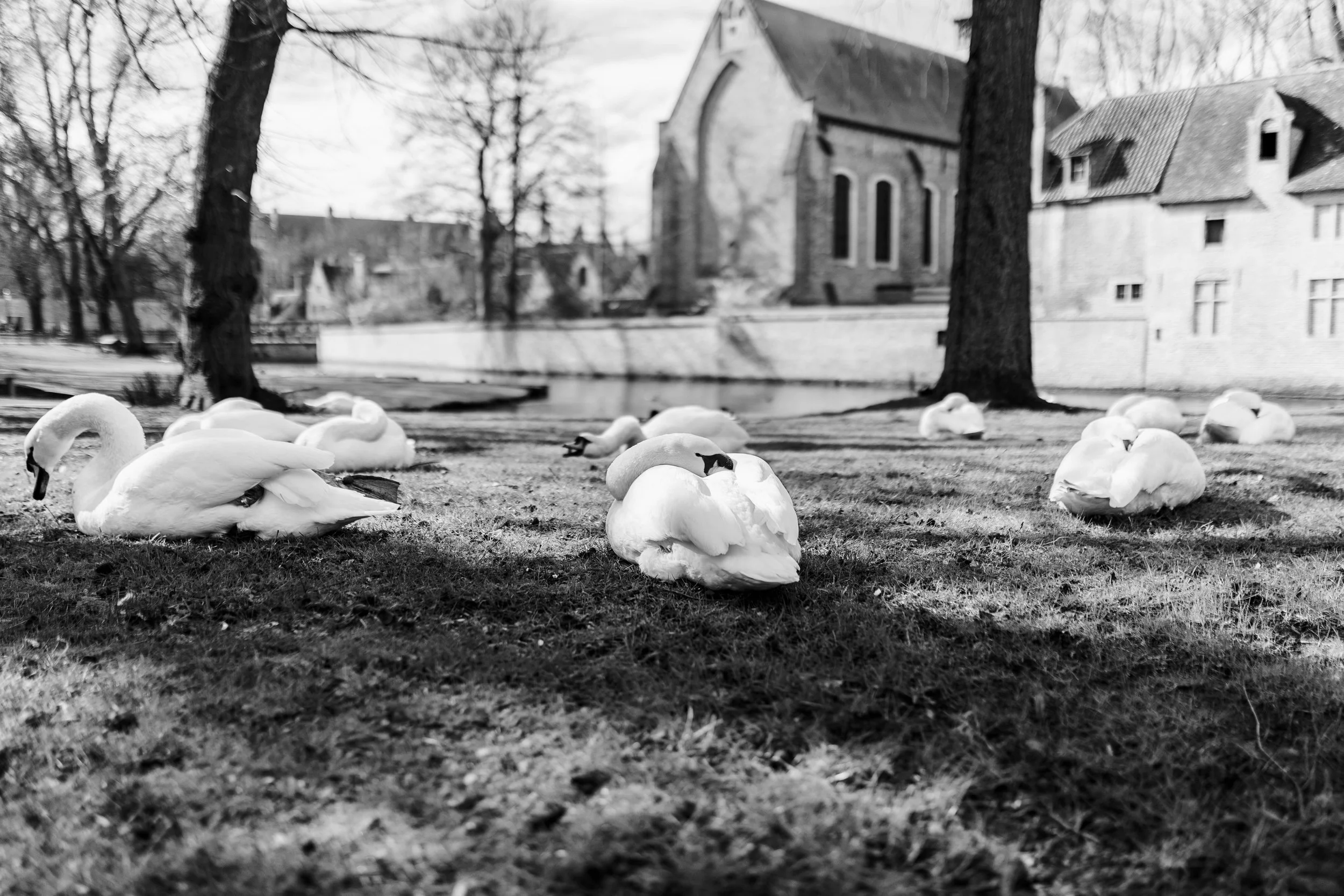 Bruges-19.jpg