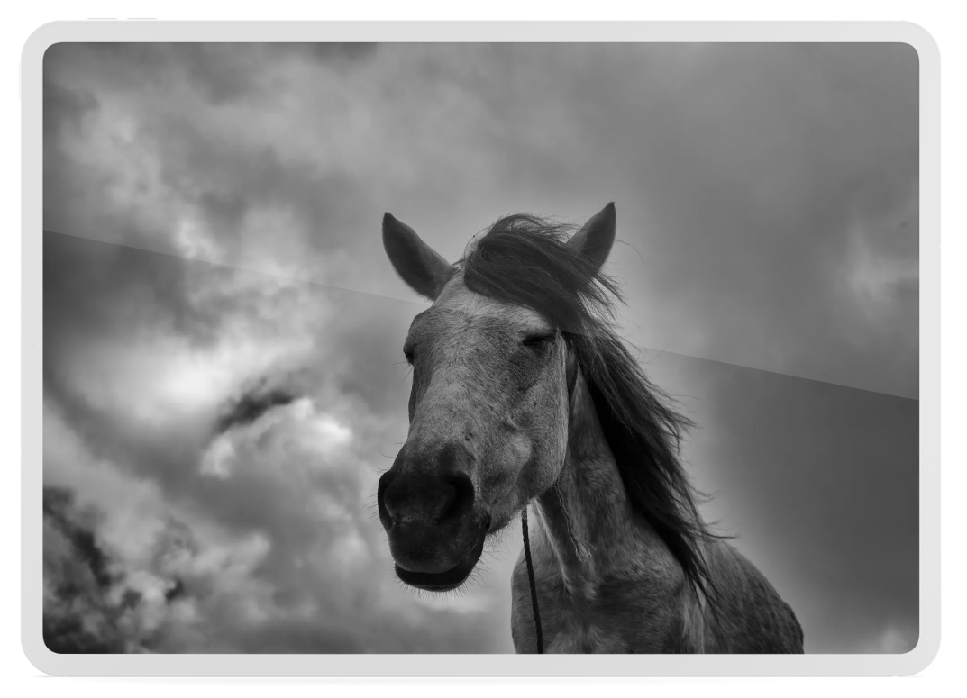 Untitled design (14).png