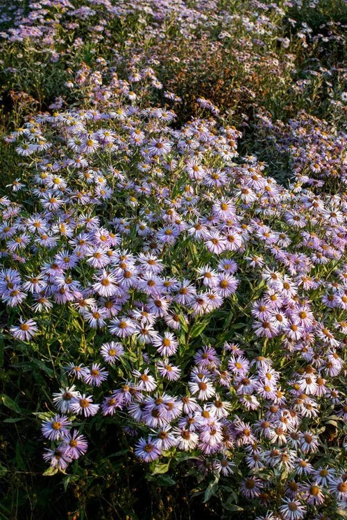 2_IMG_9517_underwater_w (1).jpg