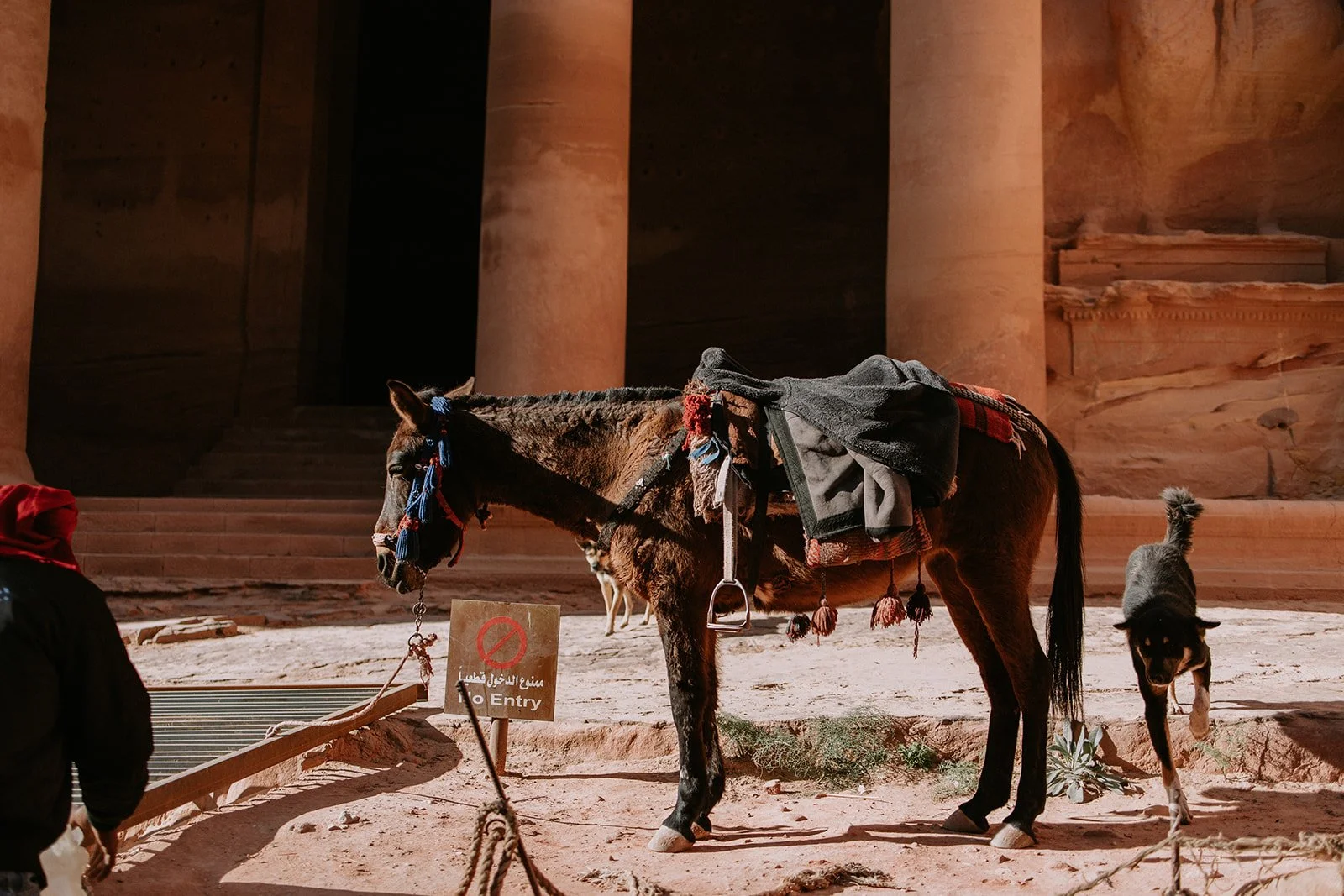 Jordan-474.jpg