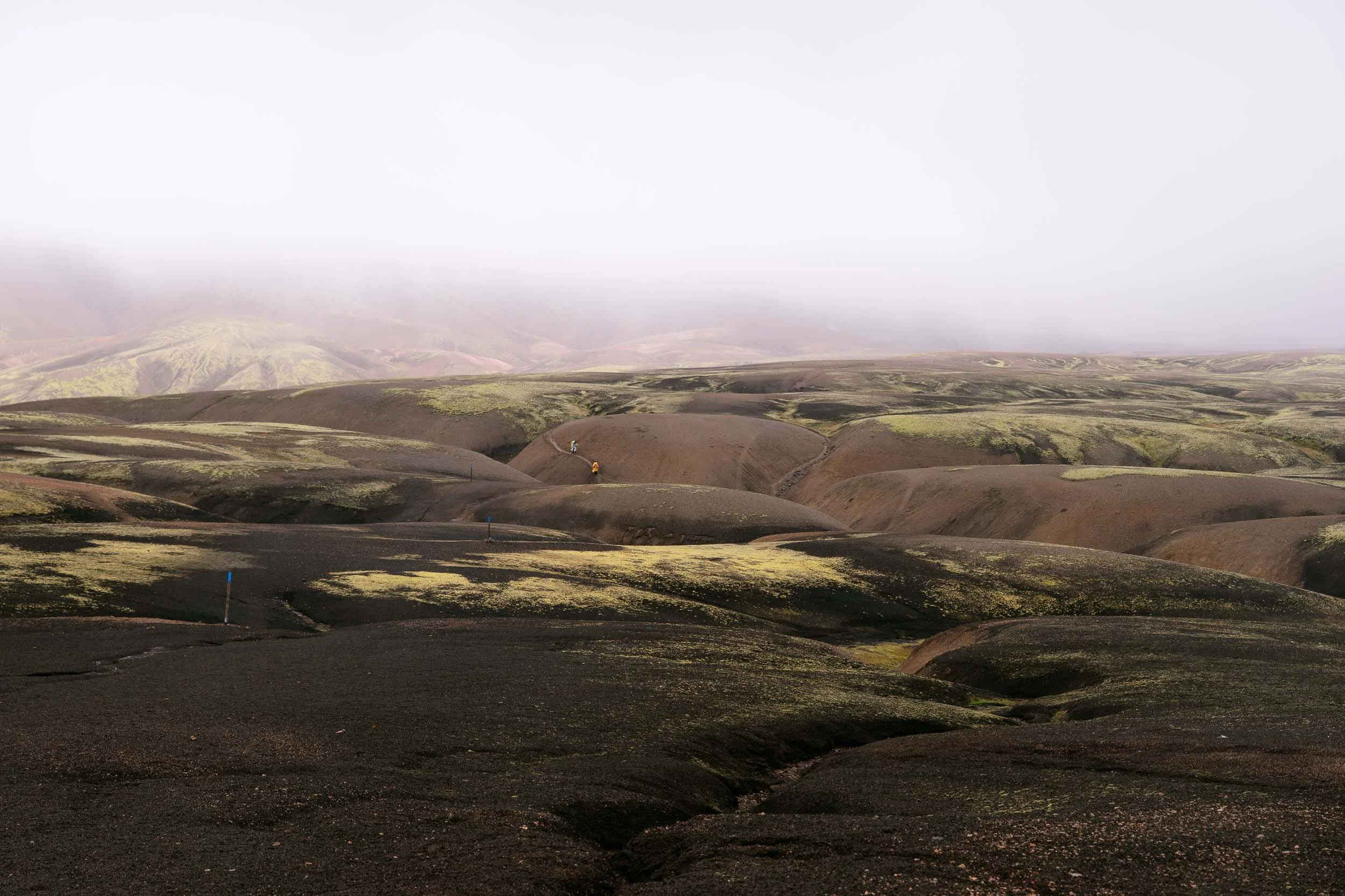 Iceland-web-3942.jpg