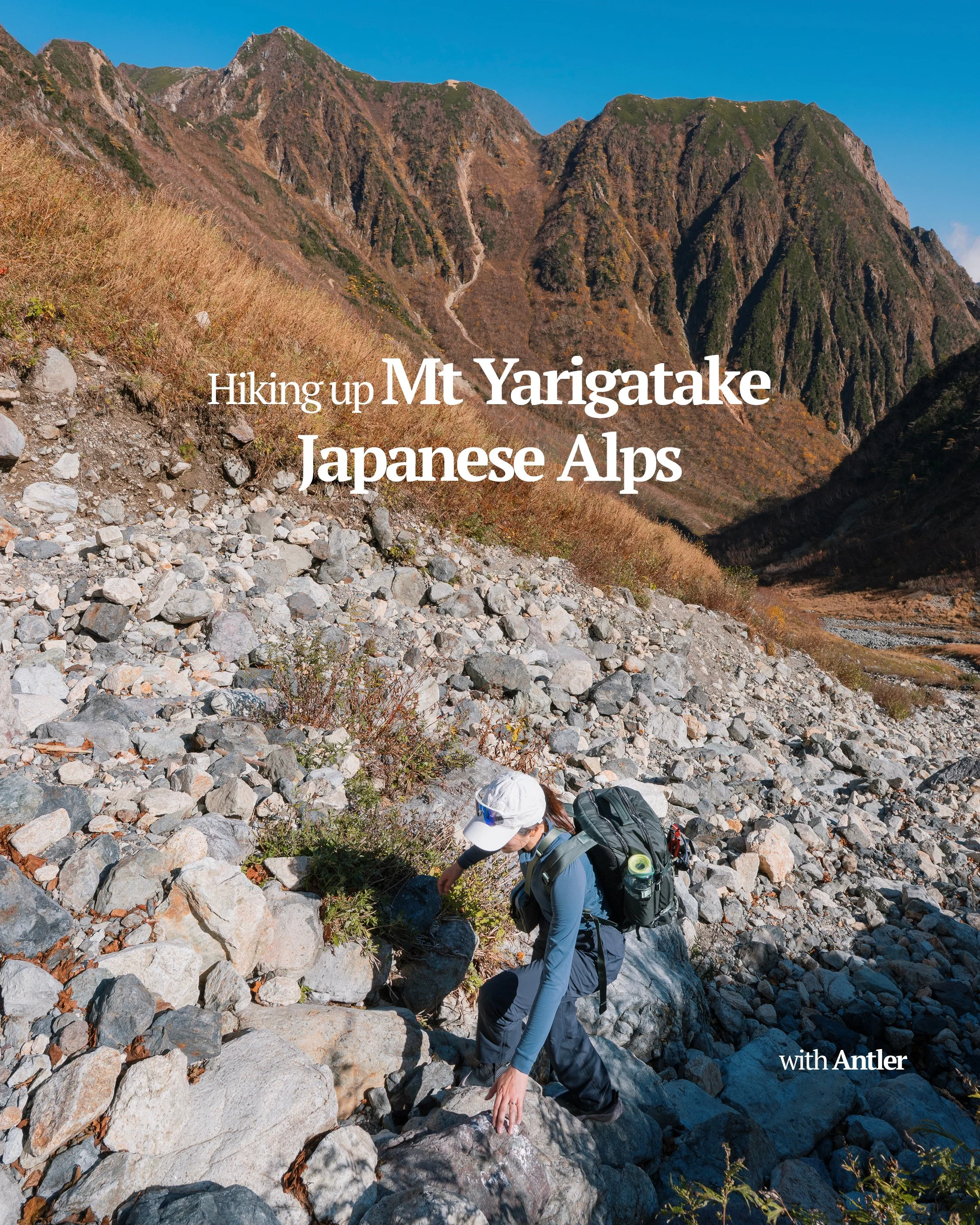 Antler Carousel December.jpg