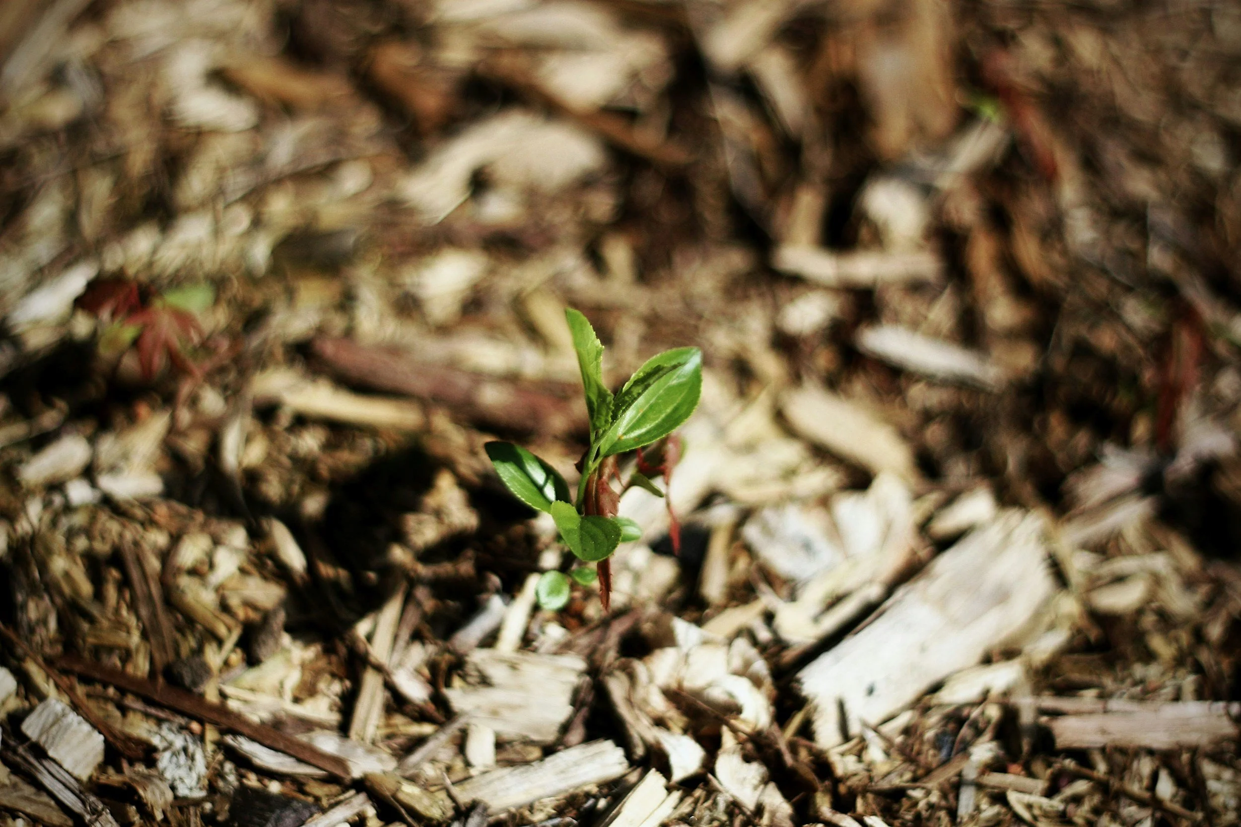 unsplash-image-hcPoBd-sEQ0.jpg