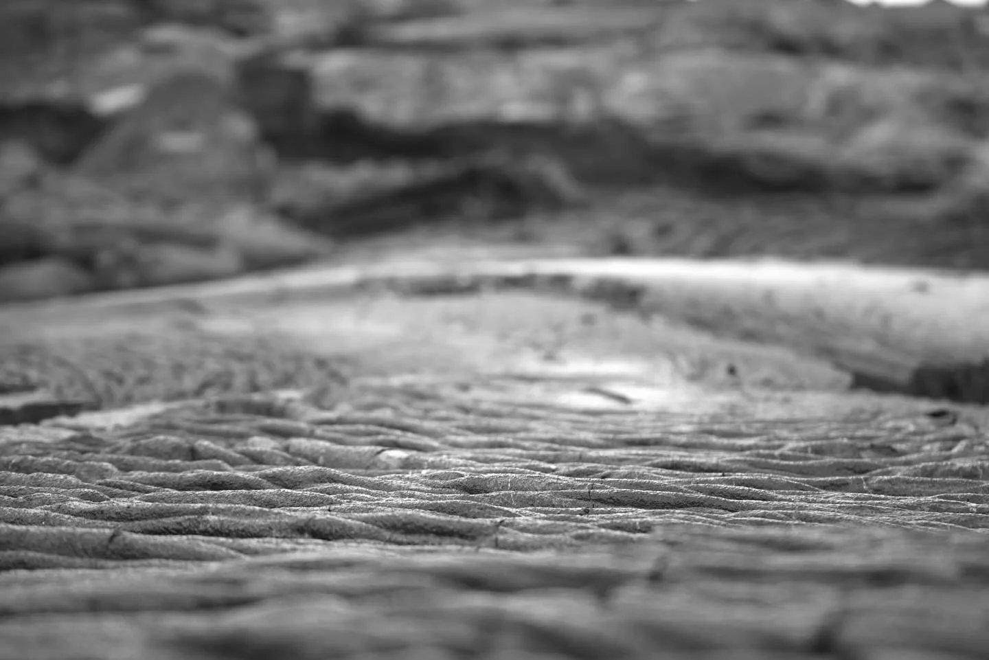 Galapagos Santiago Island July 2025