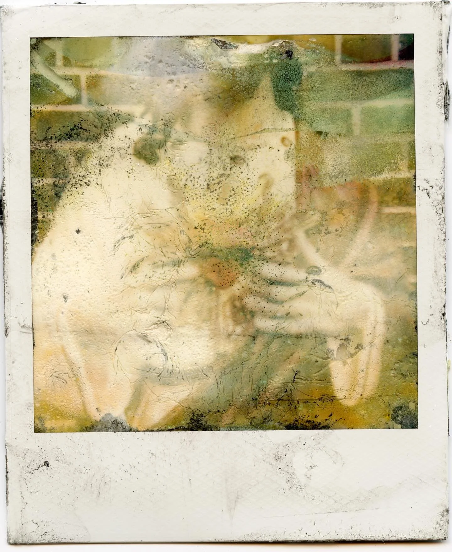 Holy Ghost, 
Decayed Polaroid ⟡

#polariod #altprocess #altprocessphotography #analogphotography #analog