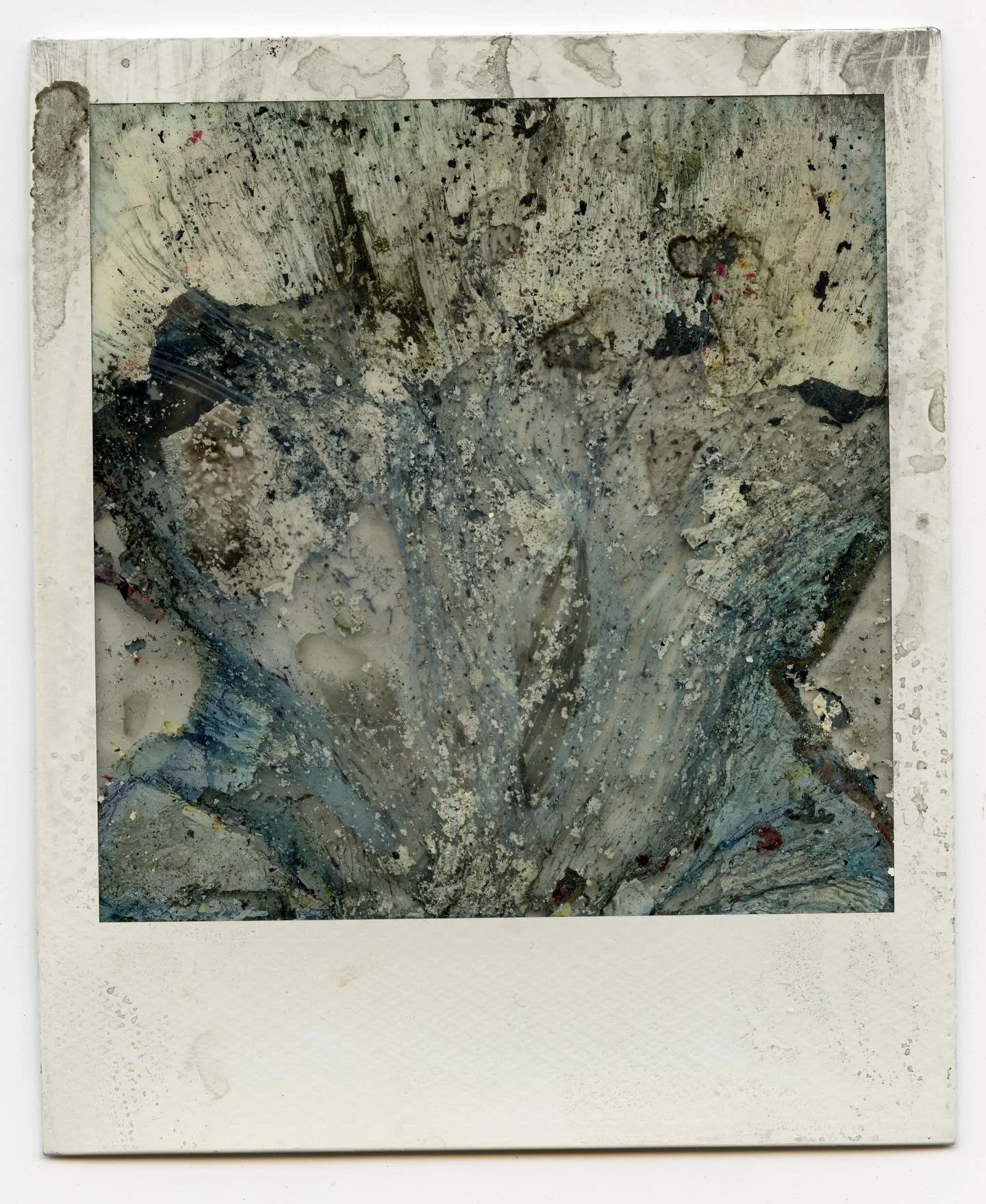 1 month of decay on a Polaroid, decayed in dish soap and water
⋆.˚𖦹⋆ 
Making decayed Polaroids has really become a reflection of my feelings about the current state of the world. There is something I love about watching the different ways emulsions 