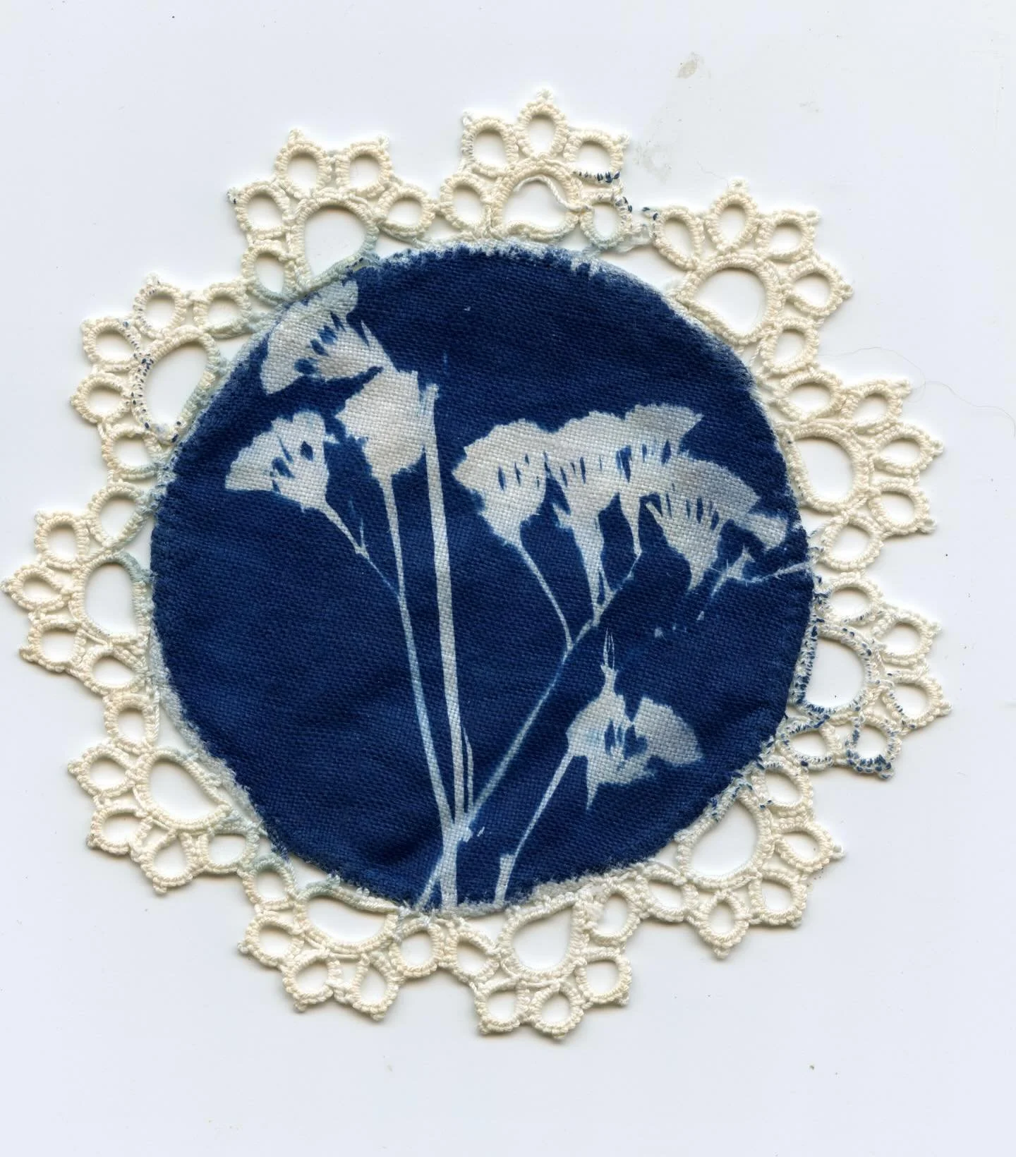 Cyanotype of dried flowers on a Doily, 2025 🩶