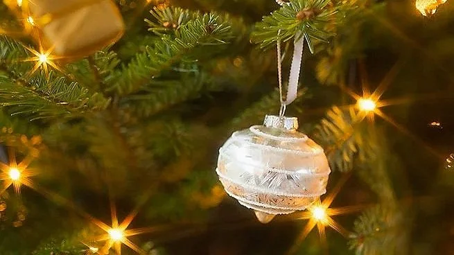 Close-up of a clear ornament hanging on a Christmas tree with green pine branches and lights.
