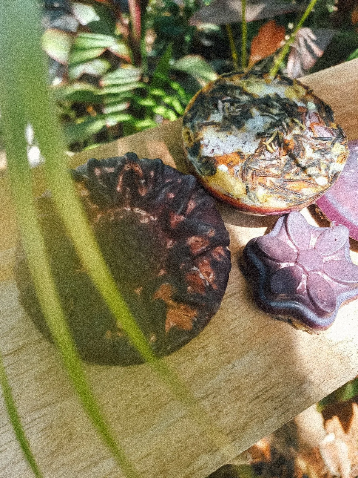 Things to do in Santa Catalina Panama