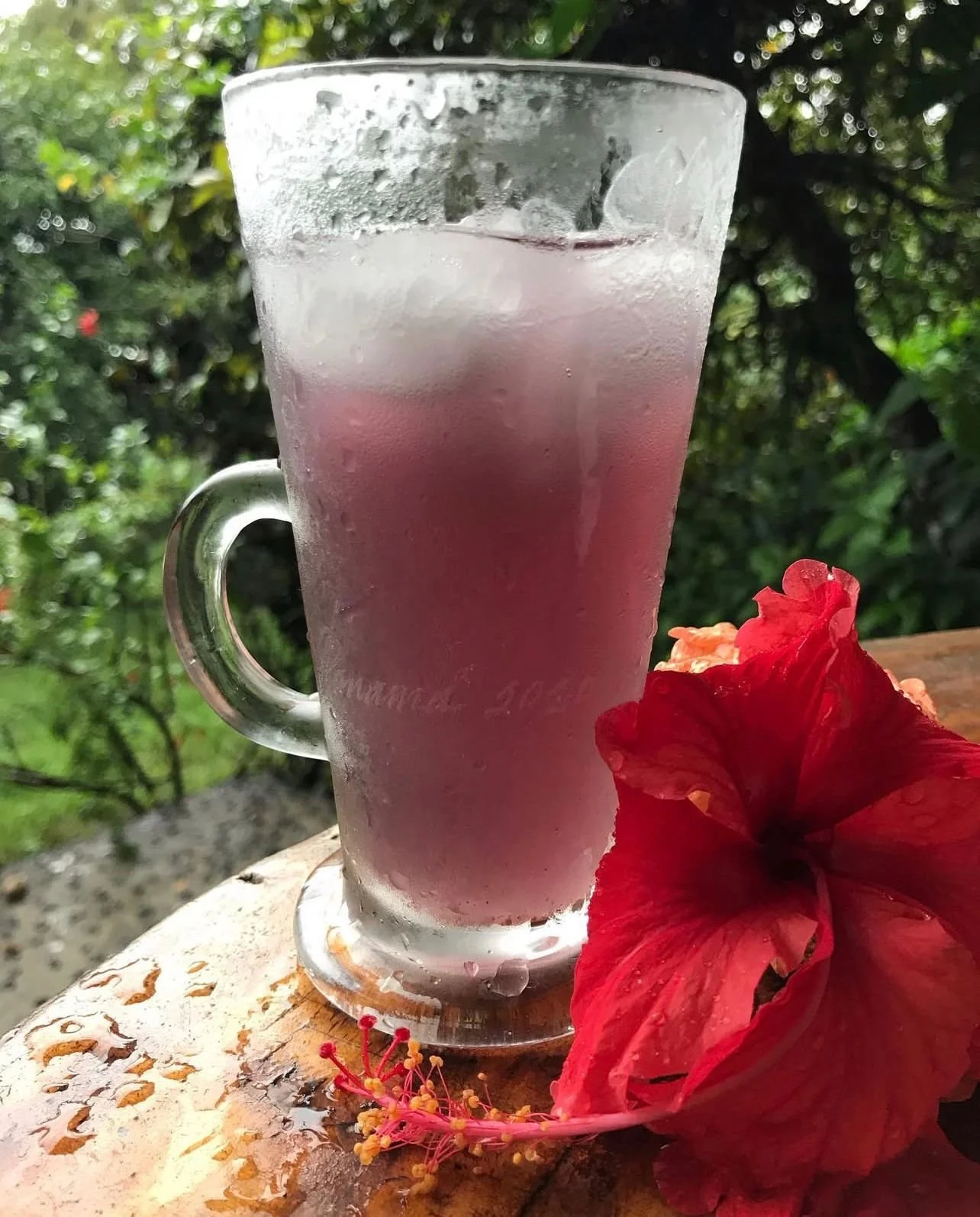 WhatsApp Image 2024-11-28 at 9.36.52 AM.jpeg