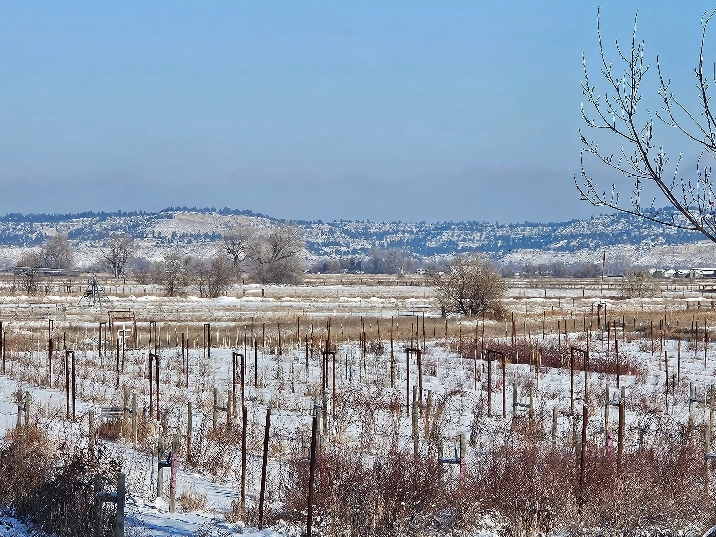 Spring into December