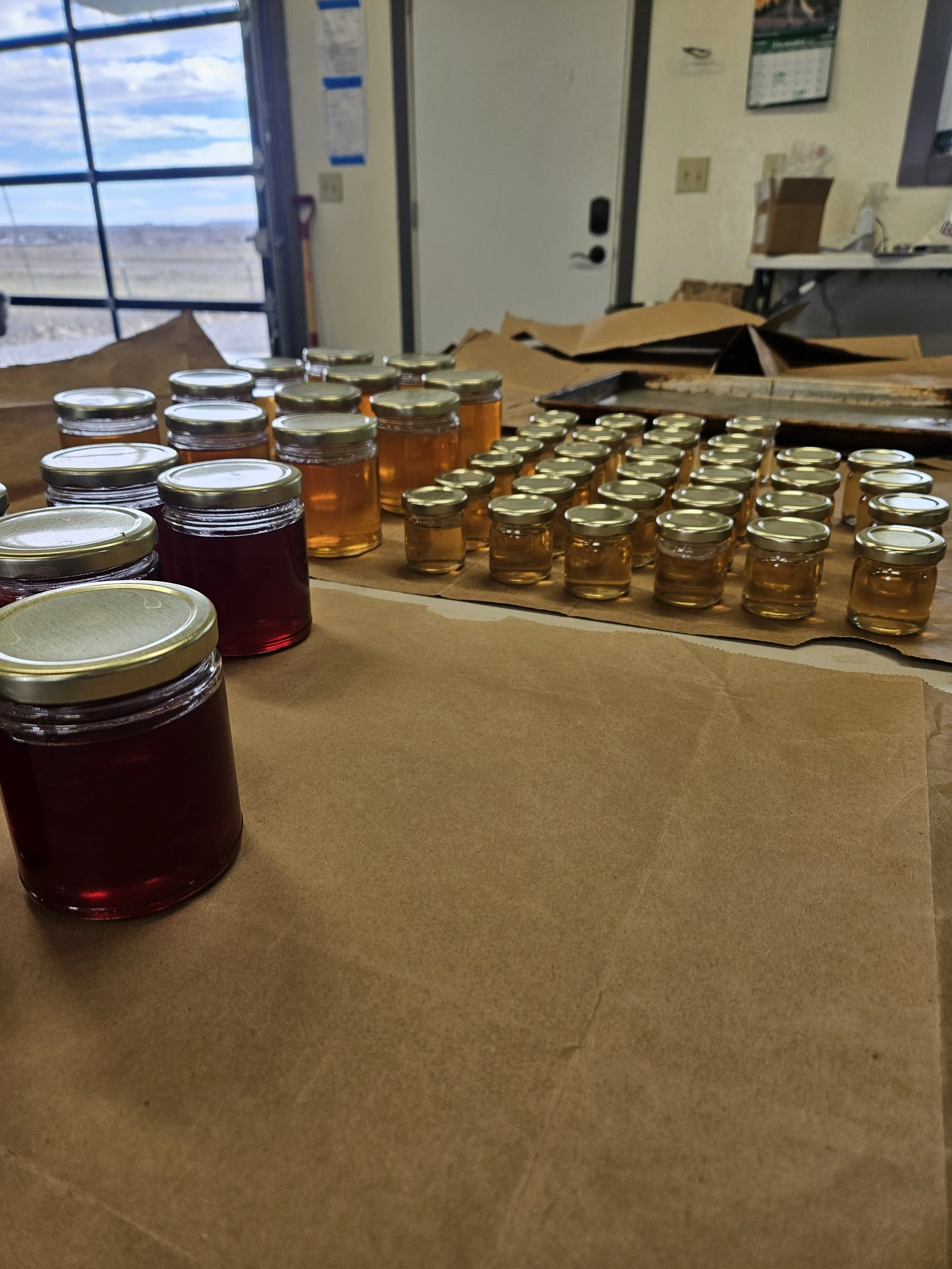 Jelly Making Workshop2