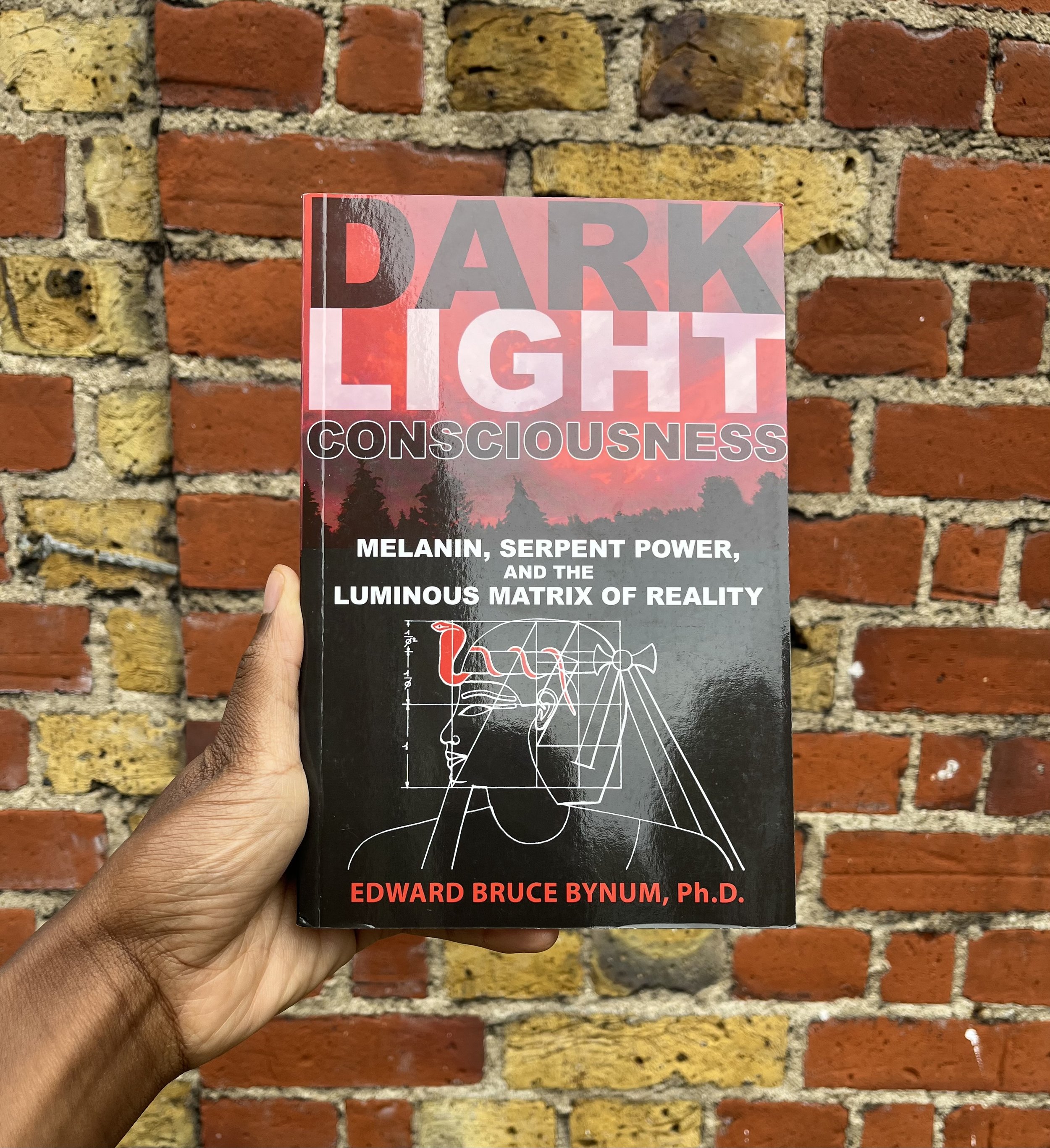 Light Dark Consciousness