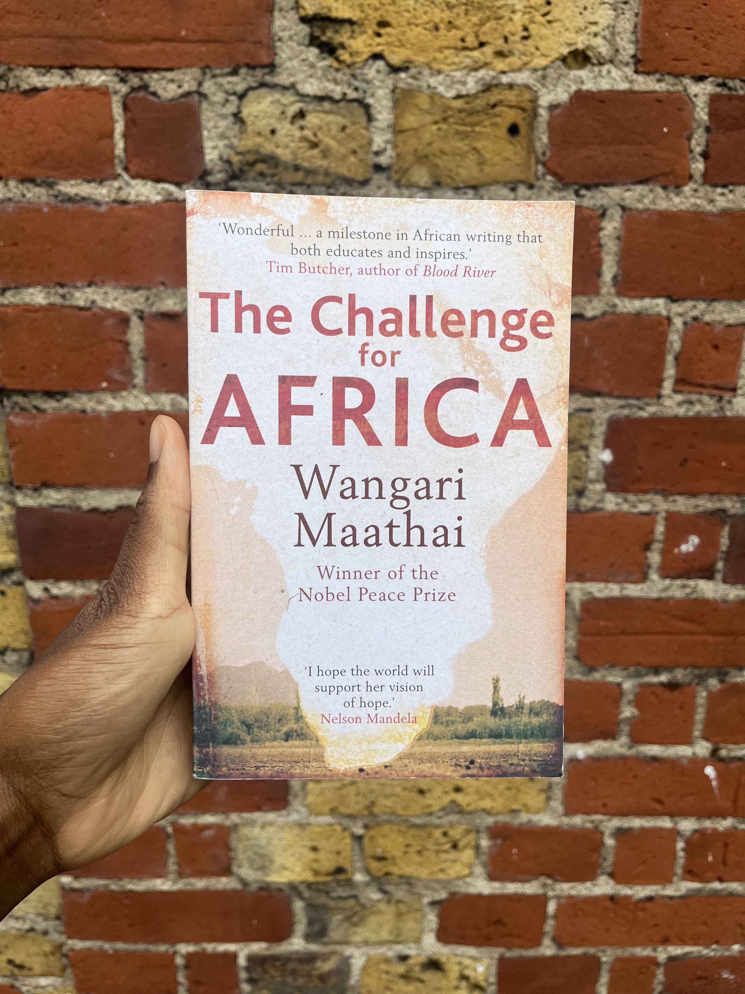 The Challenge for Africa