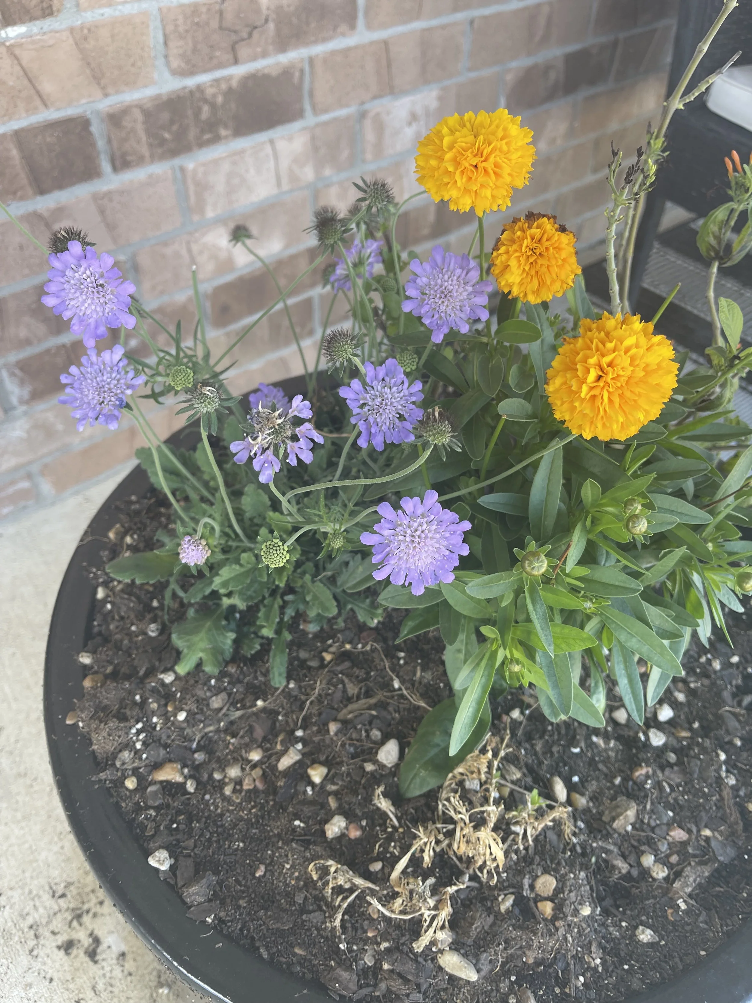 Converge Bio: AI to Accelerate Drug Discovery Funded $30M 