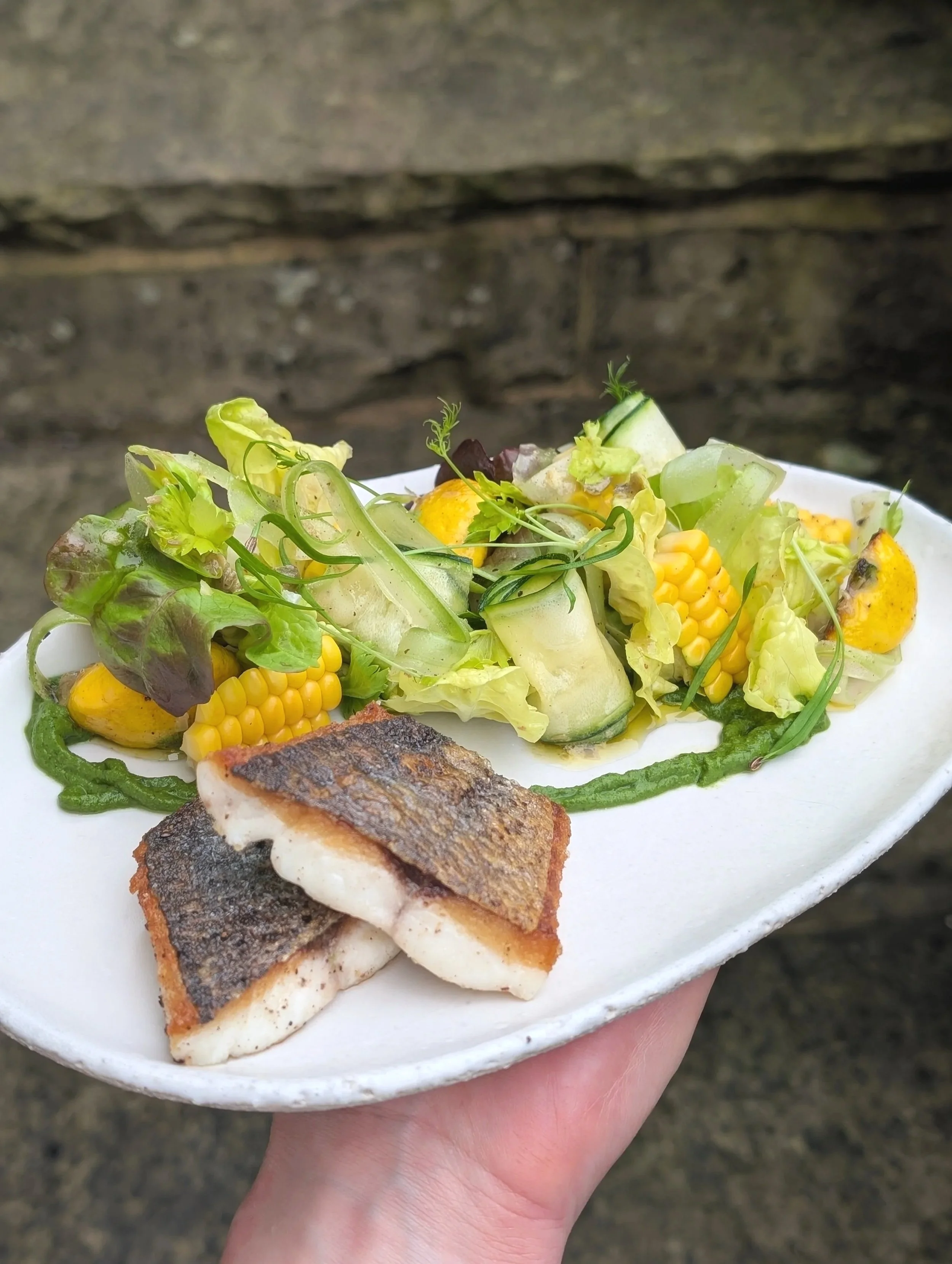 Wild Seabass, Corn, Jalapeño, Celery & Tarragon Emulsion