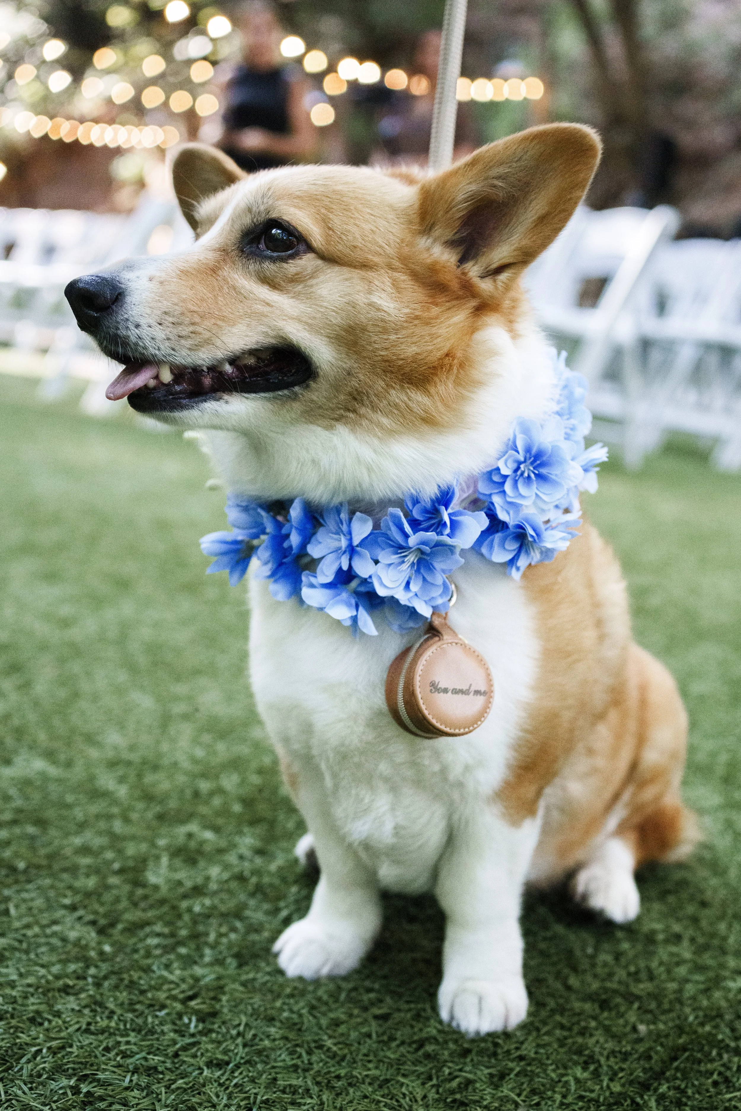 Karen_Stephen_Apollo_Squarespace-2-5.jpg