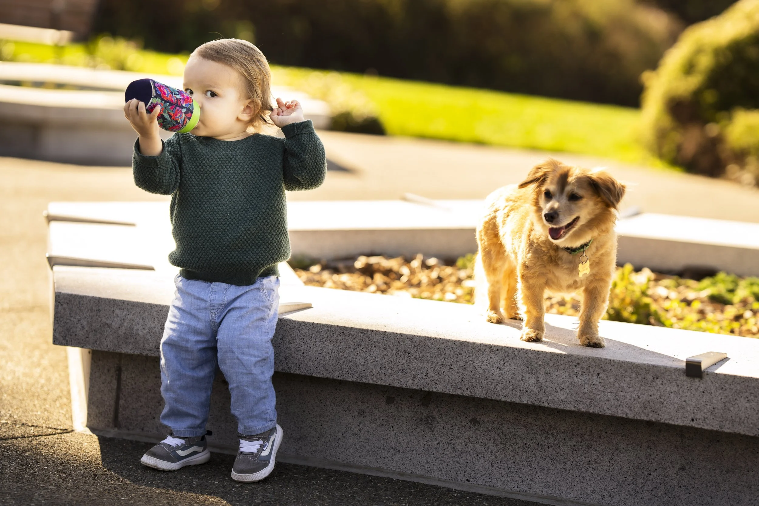 Rosie_Bobby_Stanley_Sunny_Squarespace Site-52.jpg