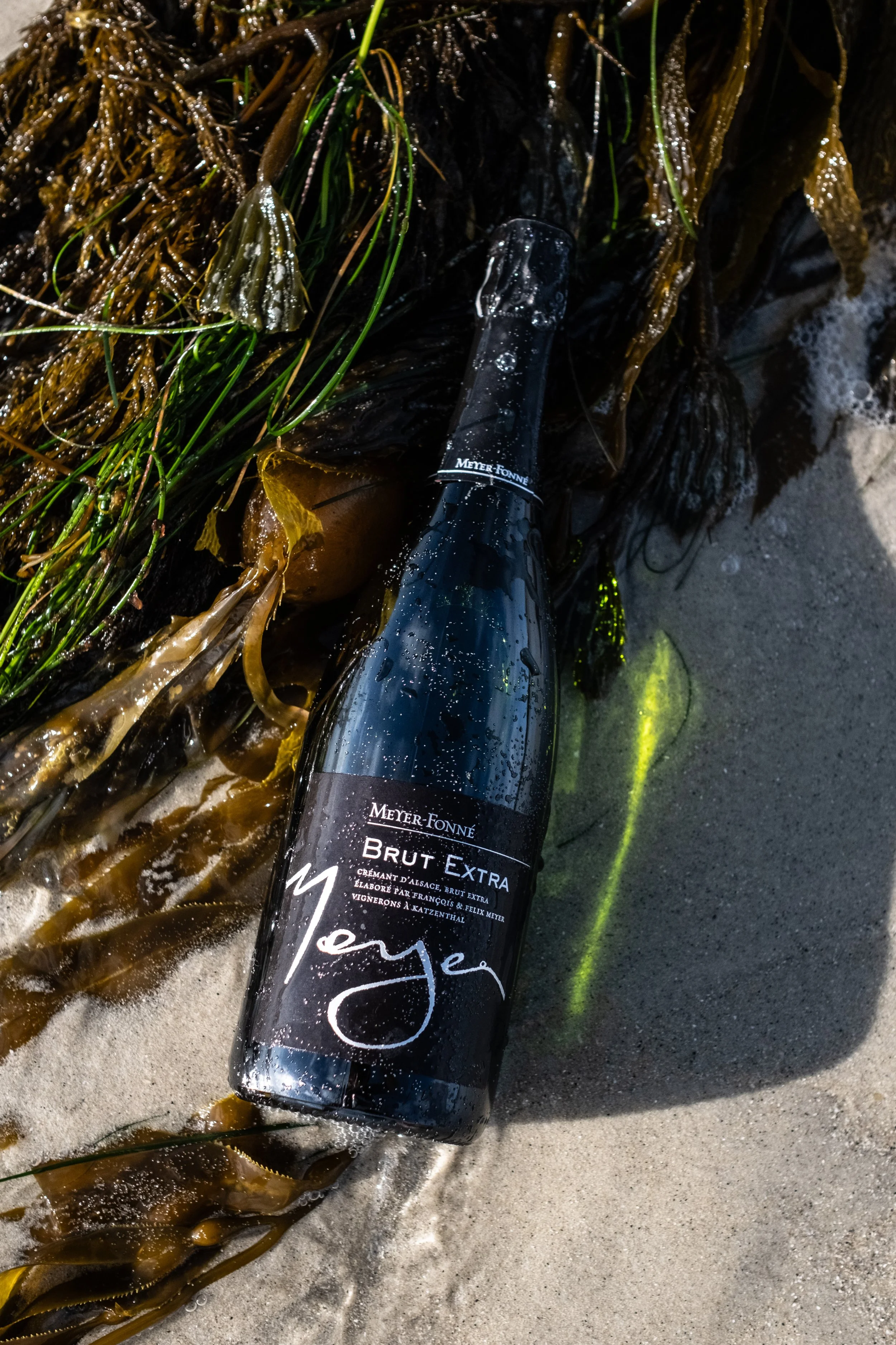 260728_Meyer_Fonne_Cremant-7803.jpg