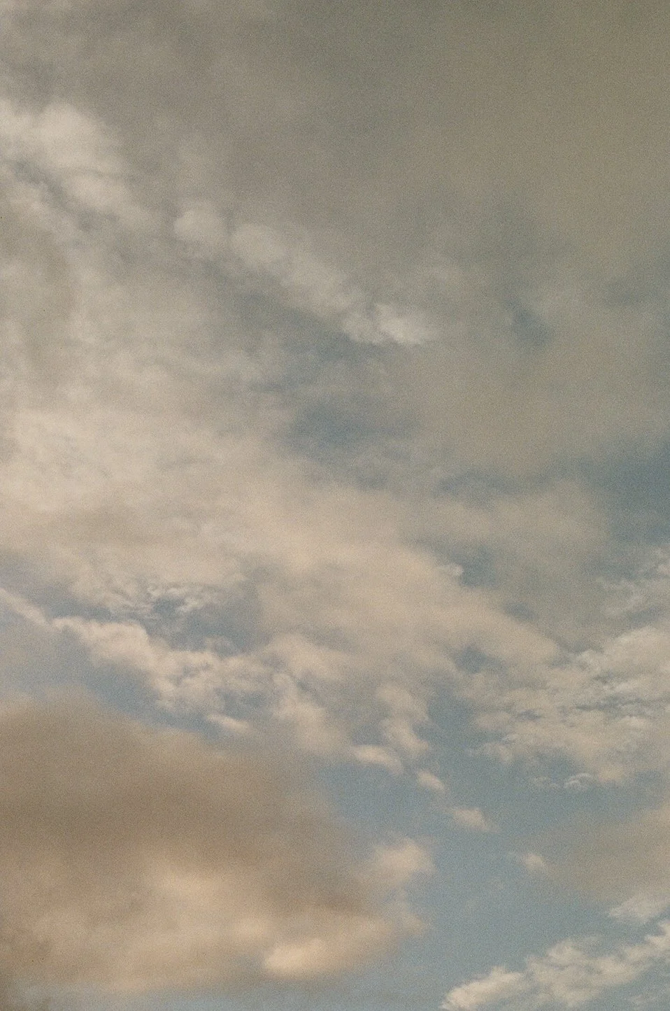 000090530024.jpg