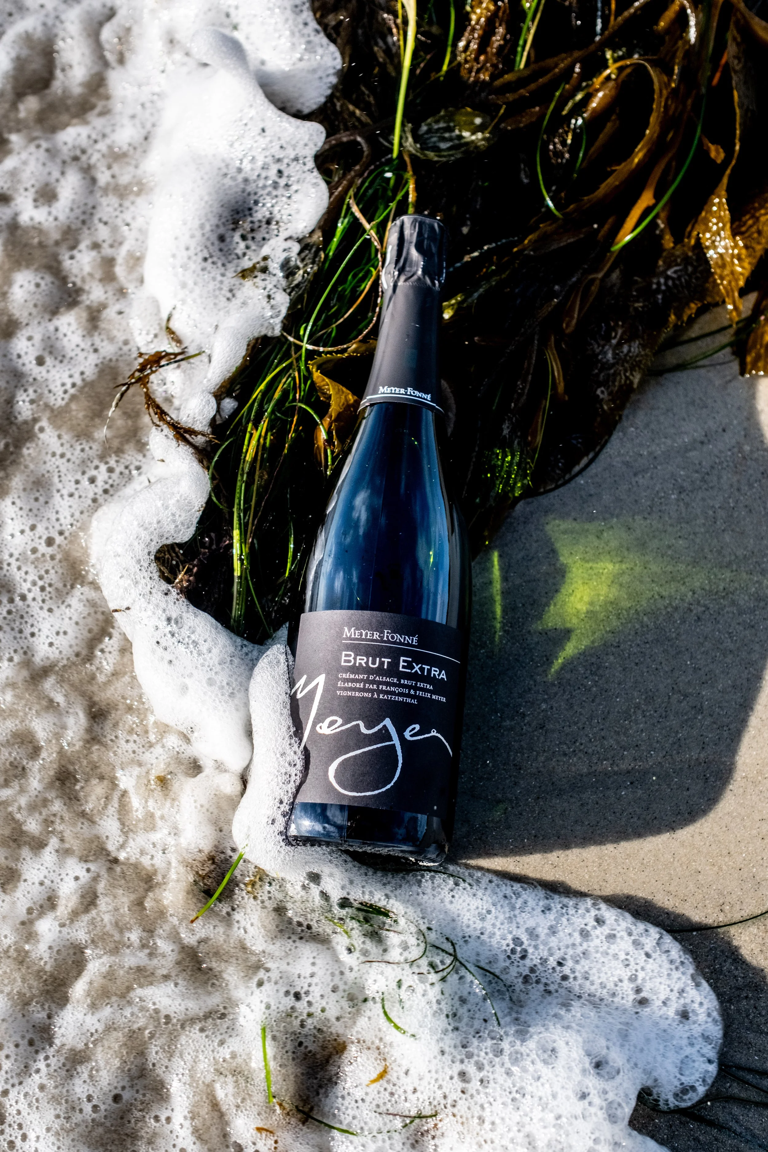 260728_Meyer_Fonne_Cremant-7802.jpg