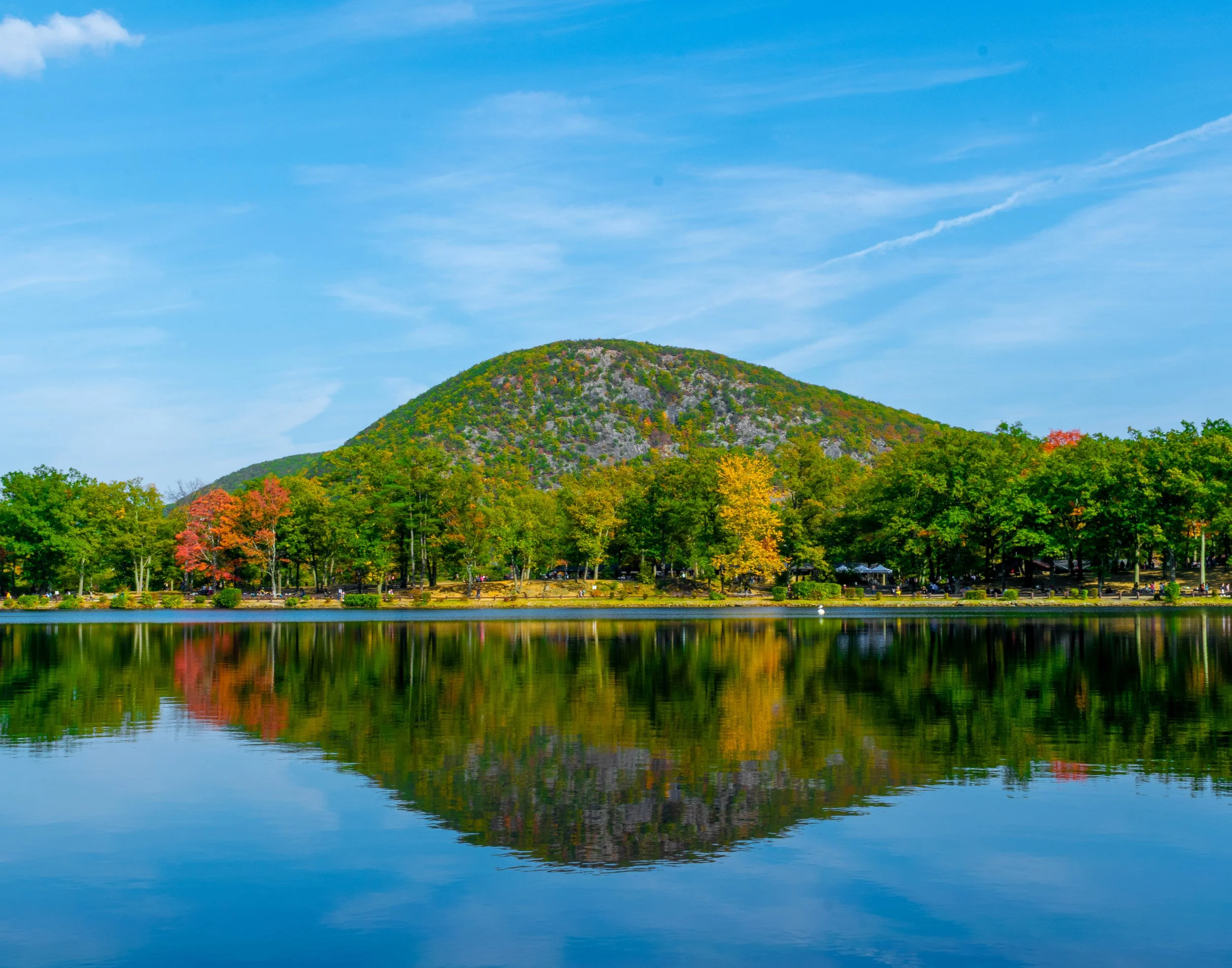 Mirror, mirror on the wall