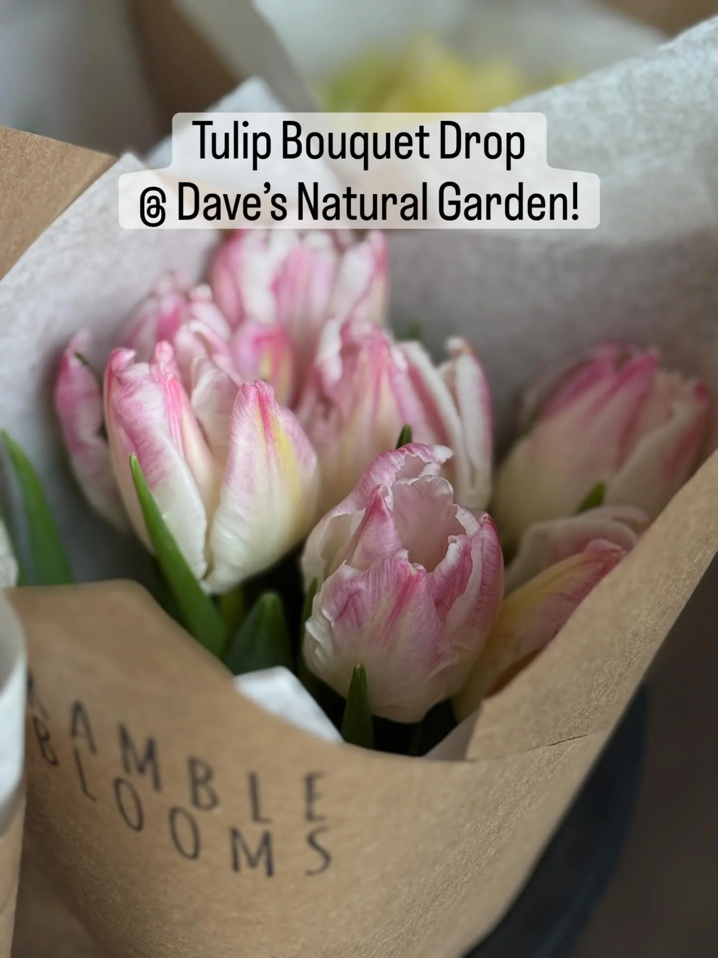 Fresh tulip bouquets are being dropped off at @daves_natural_garden_  February 7-8! 

If you&rsquo;re craving a little color therapy, this is your sign. Be brave, bundle up, and grab a bouquet of cheerfulness! 🌷☀️