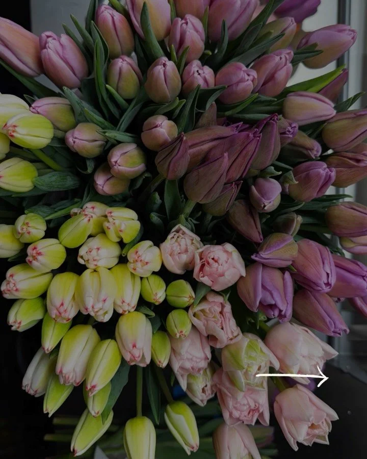 Phew! 😮&zwj;💨 We have been busy planning some great ways for you to get your hands on fresh, local winter tulips starting in February and we are still solidifying a few more! We are so excited to share these blooms with you so get out that new cale