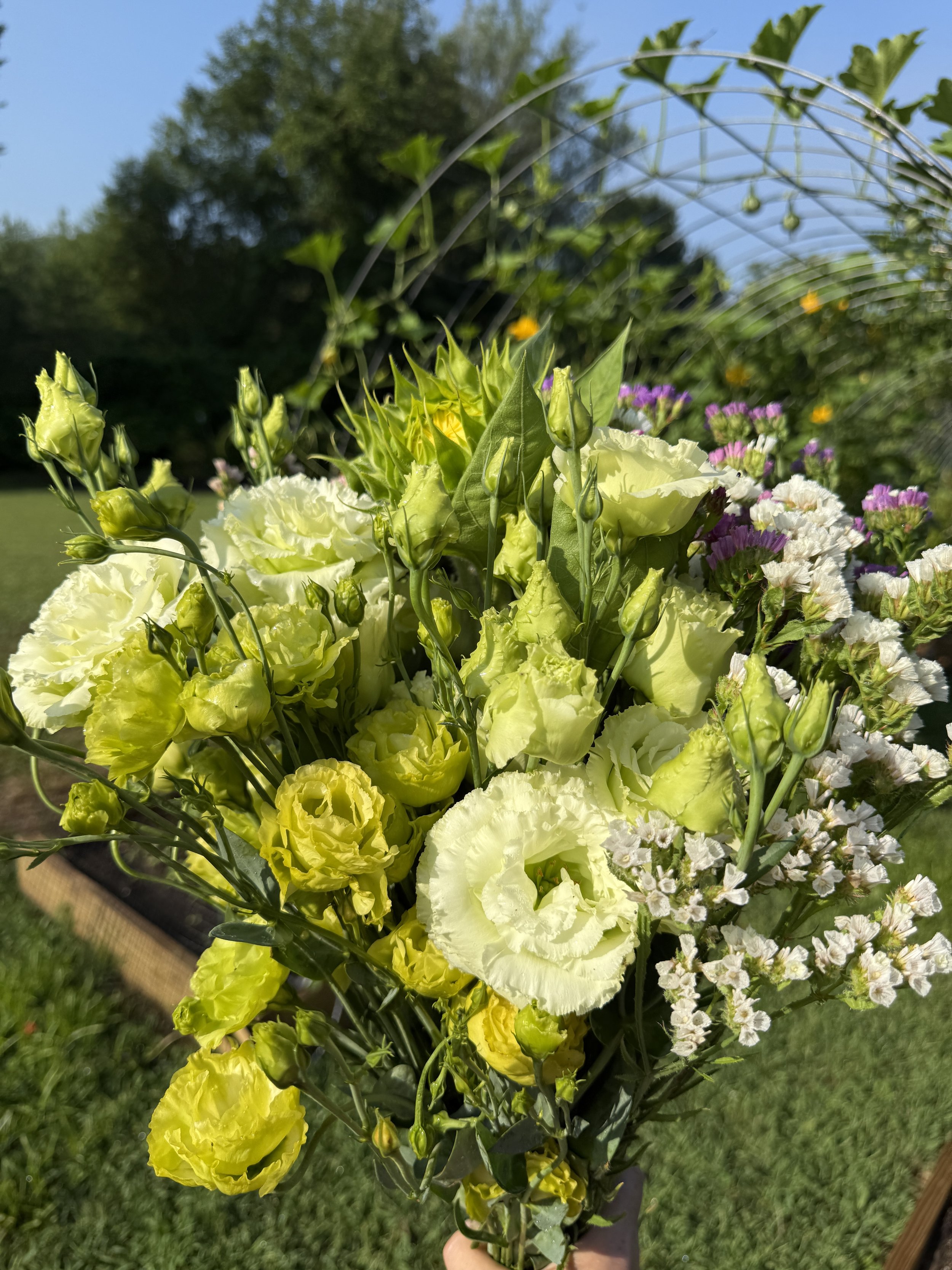 Lisianthus in Bloom Workshop