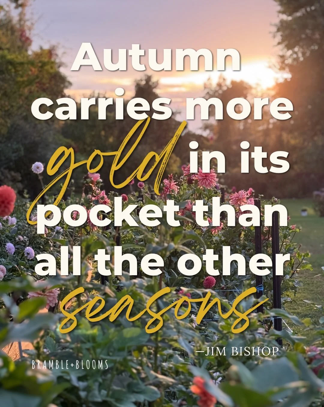 Autumn might be putting on a pretty good show above ground right now, but some of my favorite little nuggets of gold are hiding underneath it. ✨

Frost has ended our dahlia season, and soon it will be time to start digging up the tubers that made all