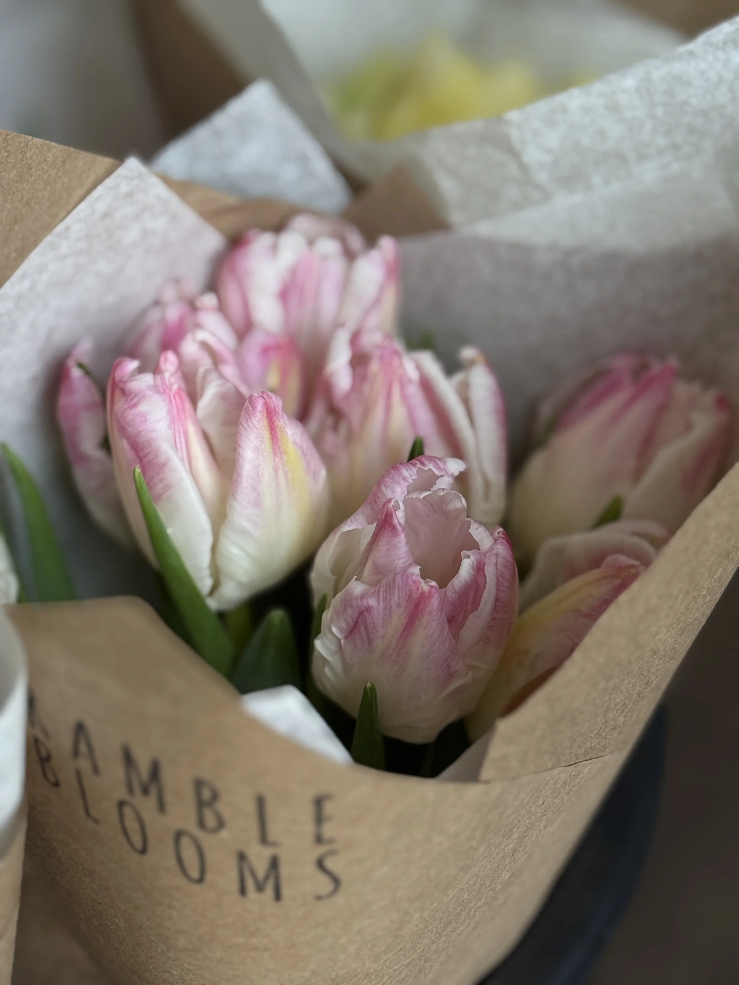 IMG_6017.jpeg