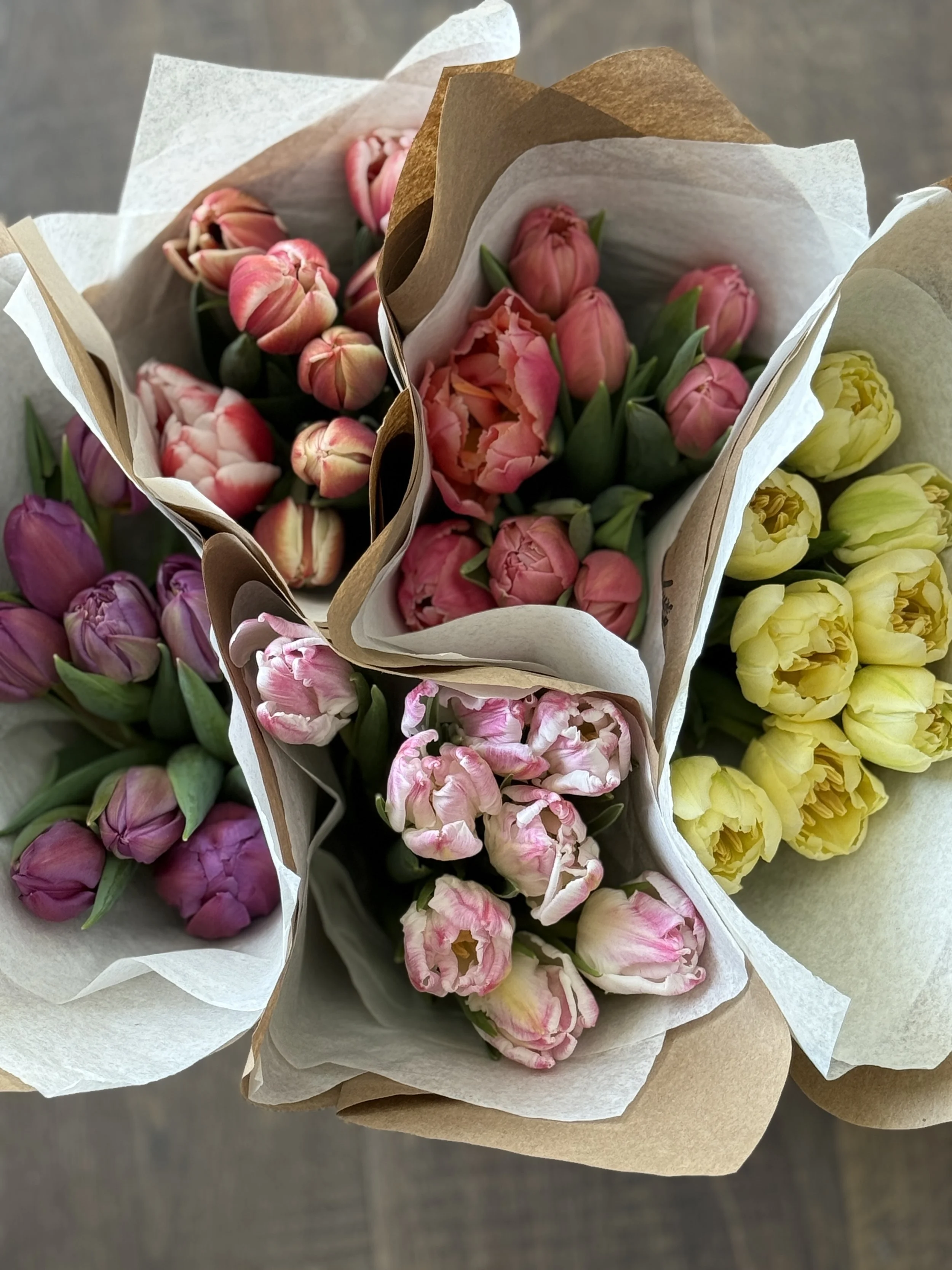 January Tulip Subscription