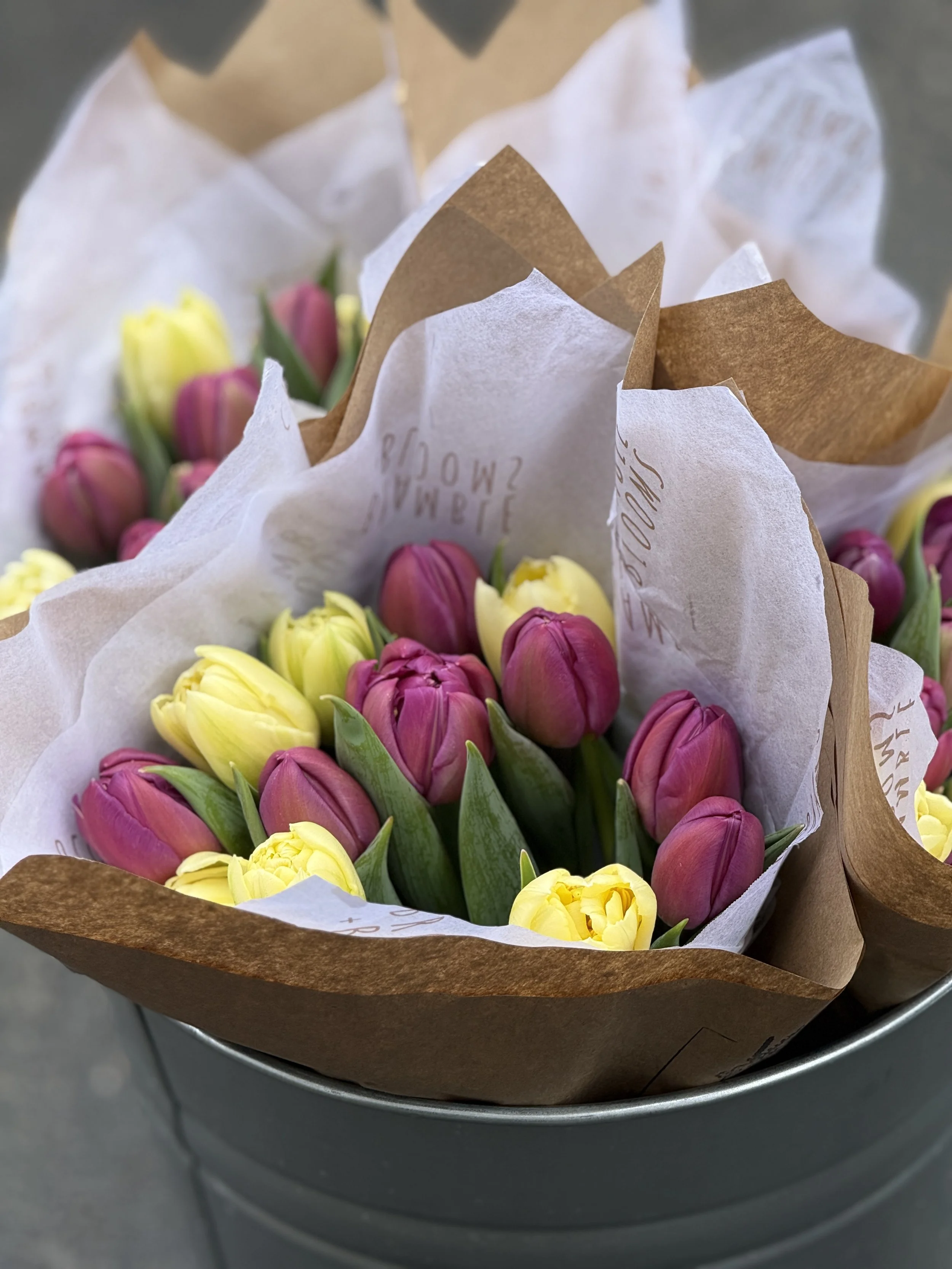 February Subscription