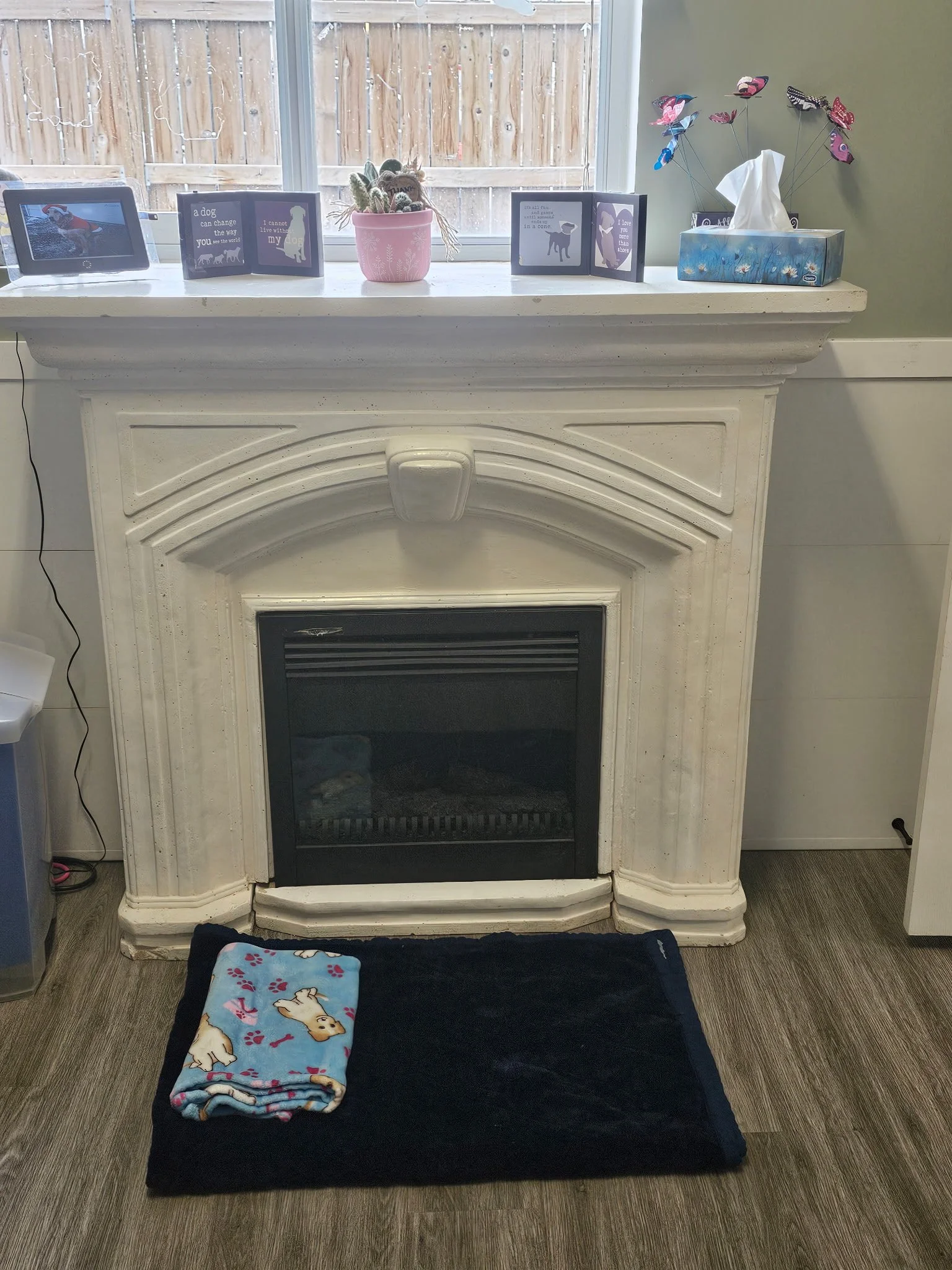 Living room fireplace with a black hearth, a folded blue fleece blanket with dog prints on it, and a dark mat or rug in front of it. Decorations on the mantel include a pink flowerpot with cacti, framed photographs, a tissue box with butterfly decorations, and picture frames with dog and cat-themed artwork. A window behind the mantel shows a wooden fence outside.