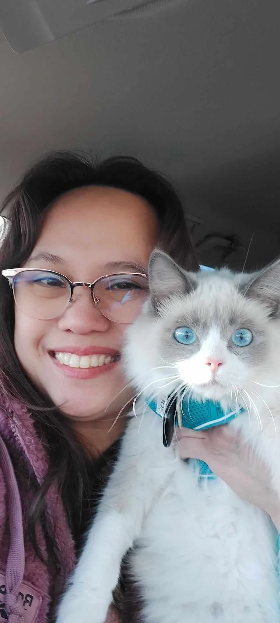 A person with glasses and long dark hair smiling while holding a white and gray cat with intense blue eyes, inside a vehicle.